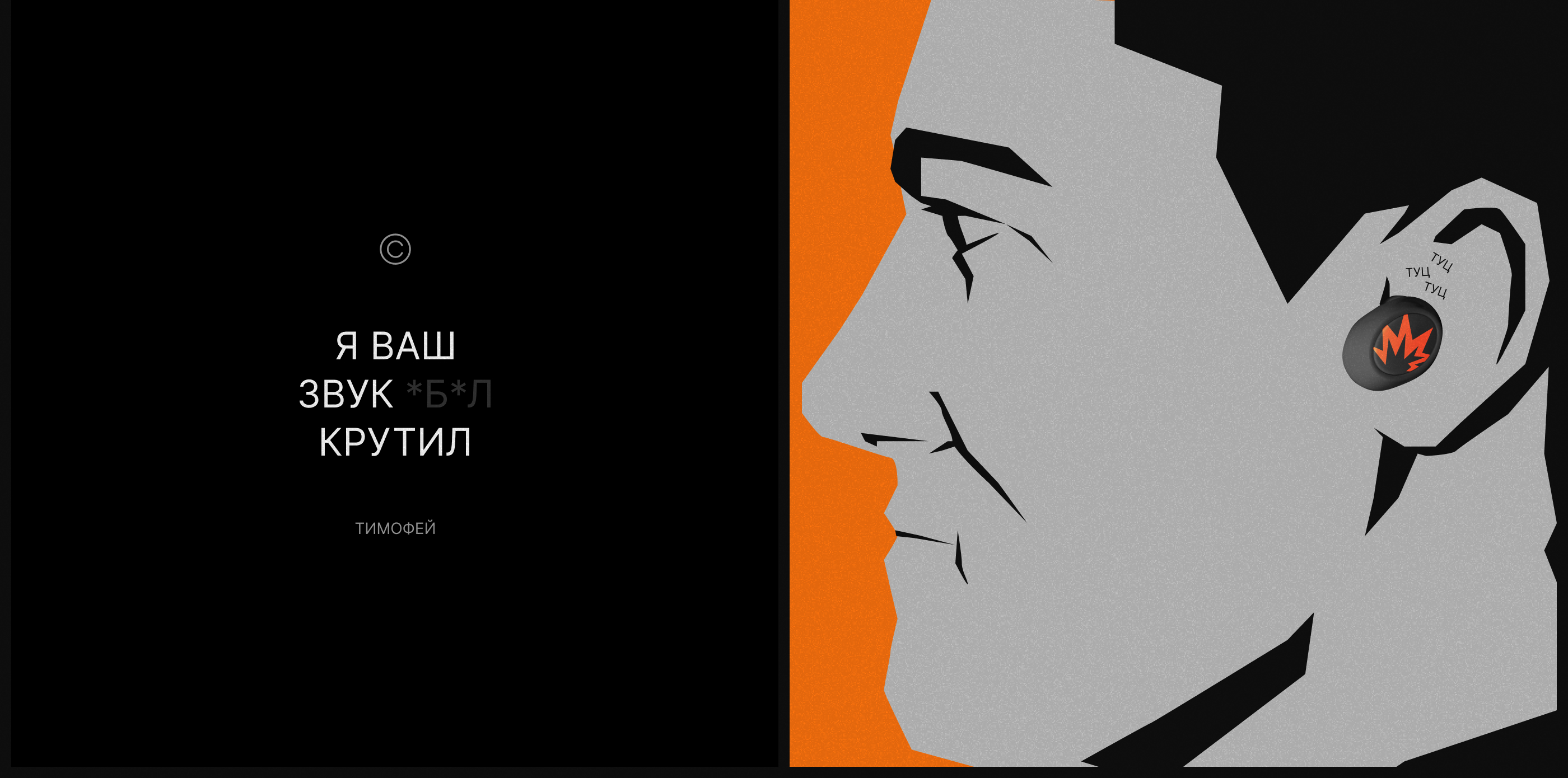 Лисы бэнд — Изображение №6 — Брендинг, Графика на Dprofile