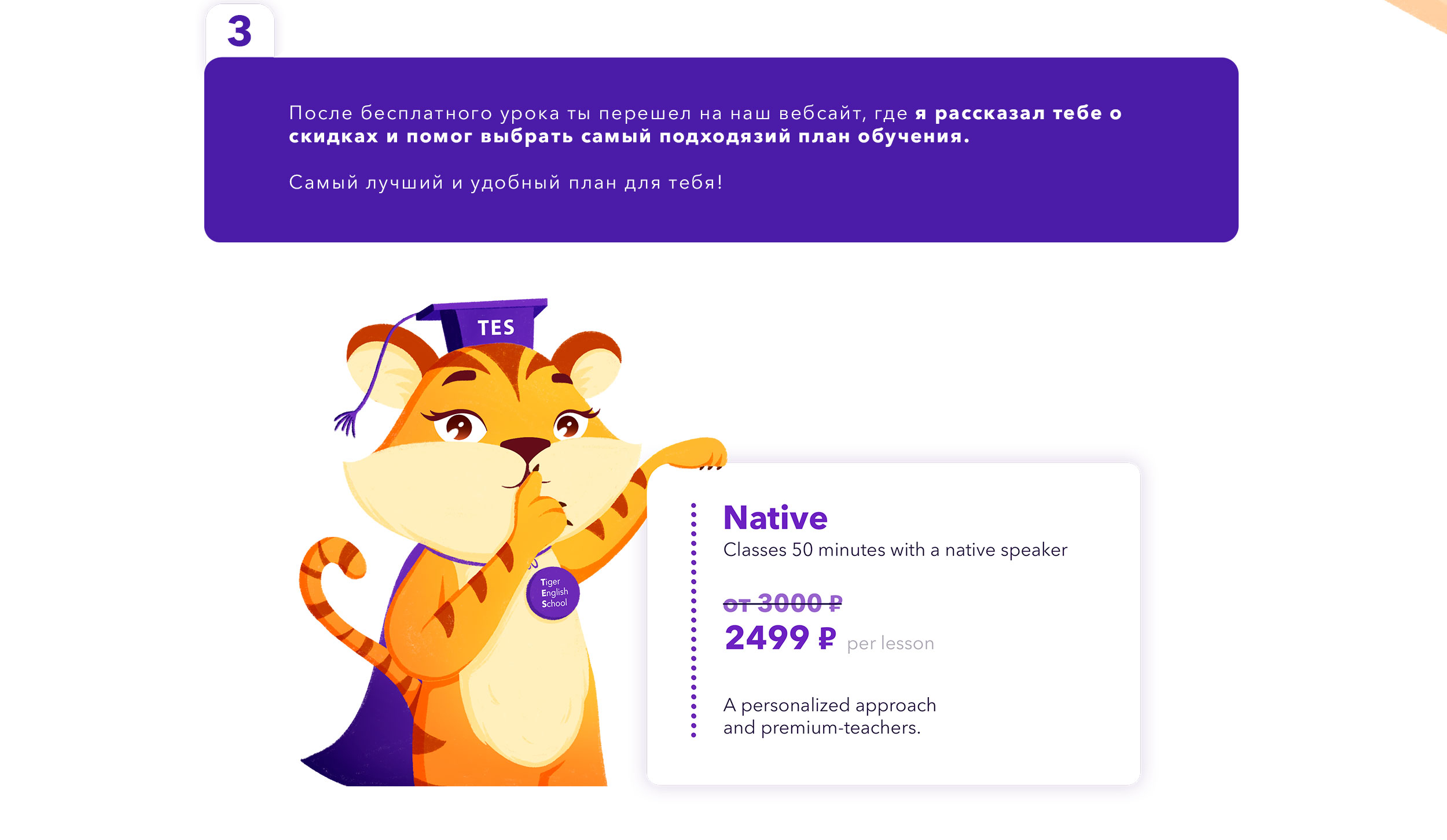 Маскот Тигр для школы английского языка Tiger English School — Изображение №8 — Брендинг, Иллюстрация на Dprofile