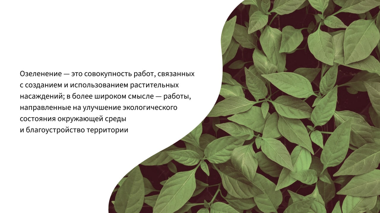 Branding for landscaping studio — Изображение №3 — Брендинг, Графика на Dprofile