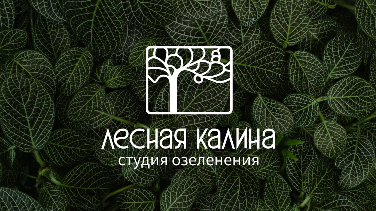 Branding for landscaping studio — Изображение №1 — Брендинг, Графика на Dprofile