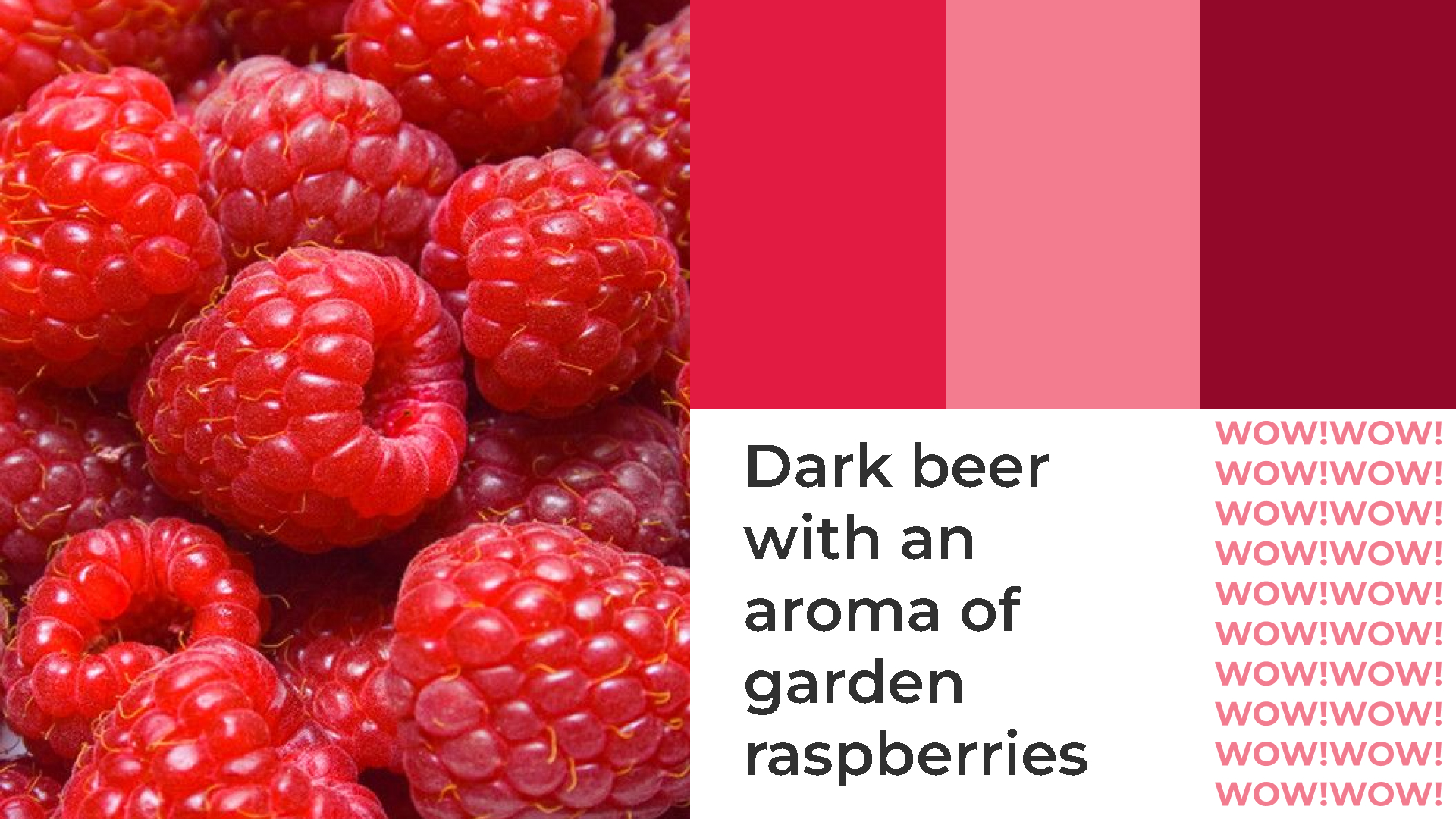 Rebel Brew. Дизайн-концепт марки вкусового пива — Изображение №10 — Брендинг, Графика на Dprofile