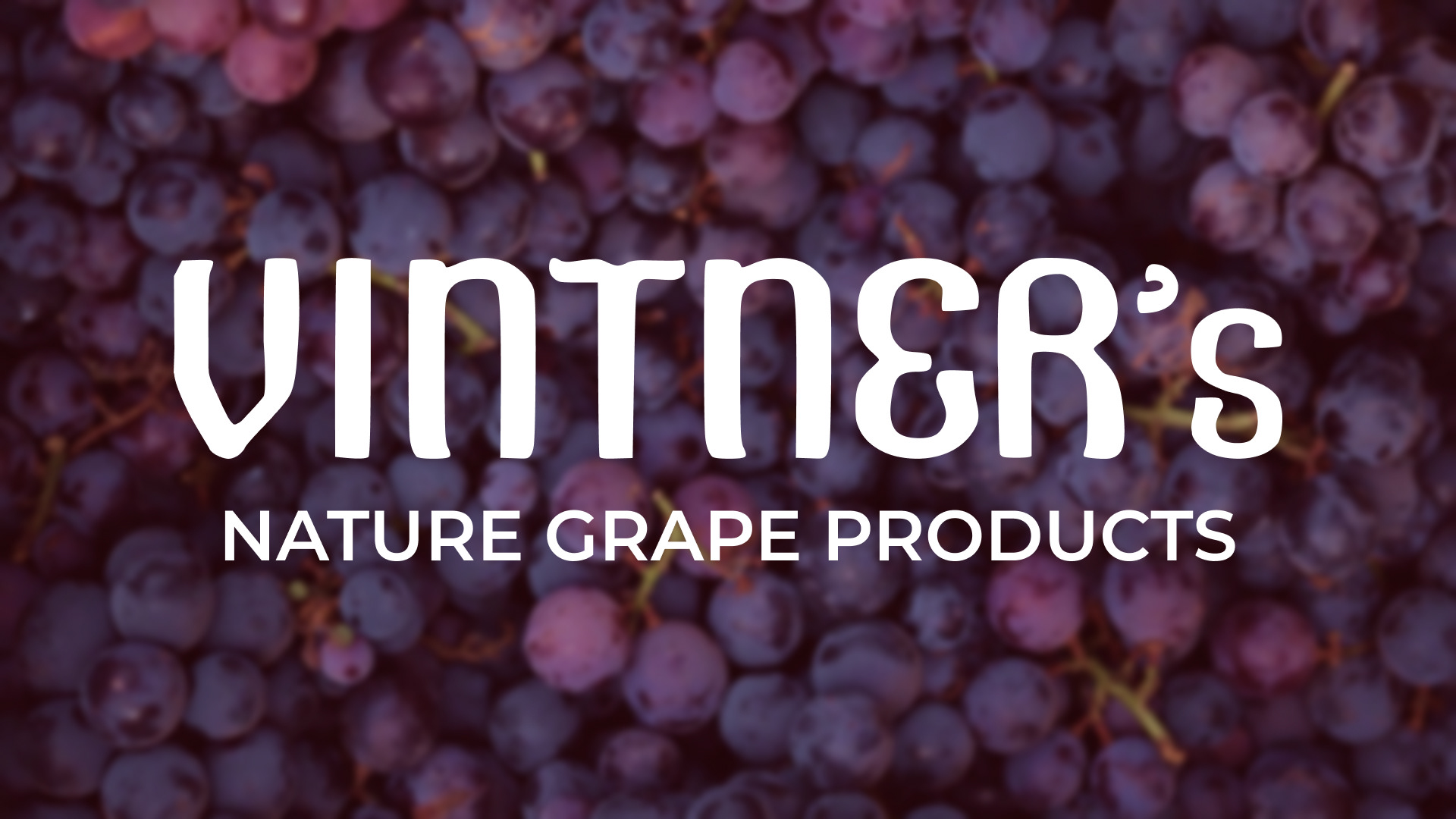 Branding for grape produckts — Изображение №1 — Иллюстрация, Графика на Dprofile