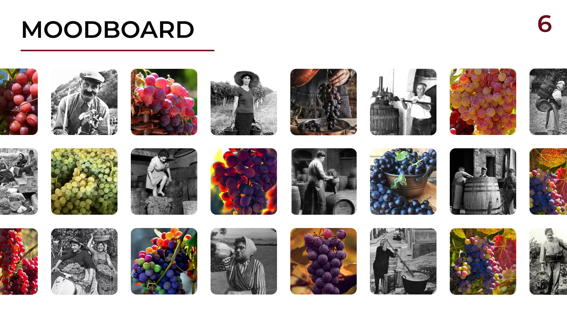 Branding for grape produckts — Изображение №7 — Иллюстрация, Графика на Dprofile