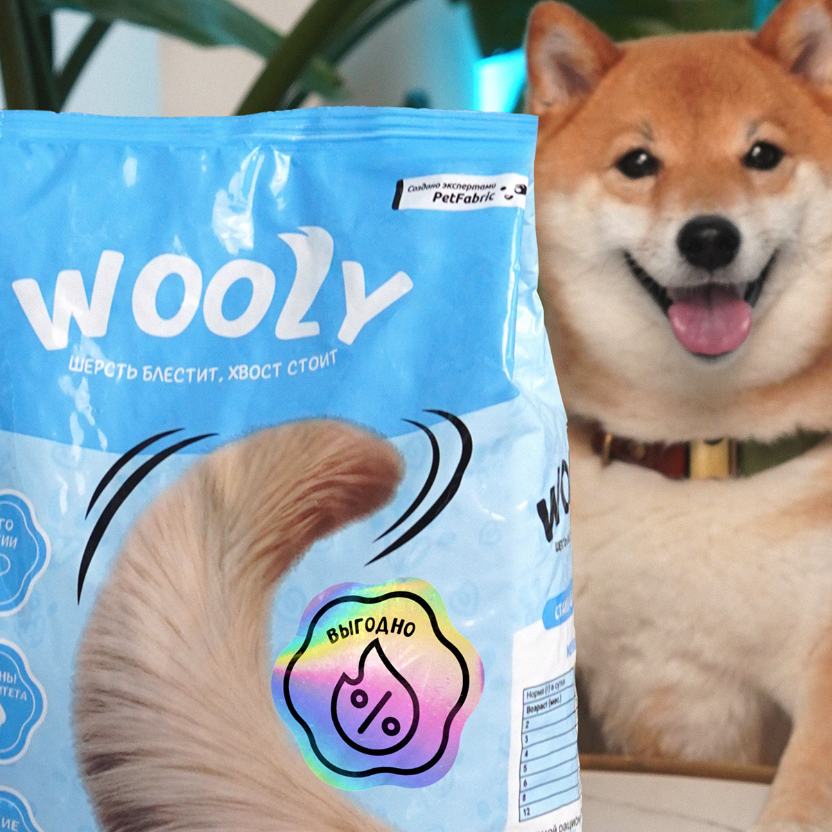 Wooly — Pet Food Branding & Packaging Design — Изображение №10 — Брендинг на Dprofile
