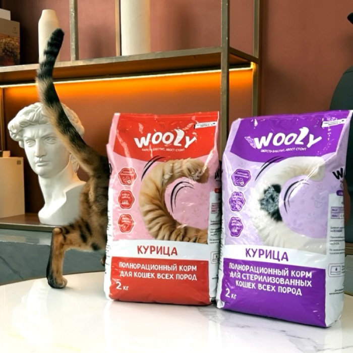 Wooly — Pet Food Branding & Packaging Design — Изображение №24 — Брендинг на Dprofile