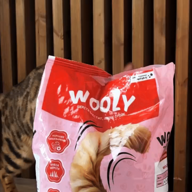 Wooly — Pet Food Branding & Packaging Design — Изображение №2 — Брендинг на Dprofile