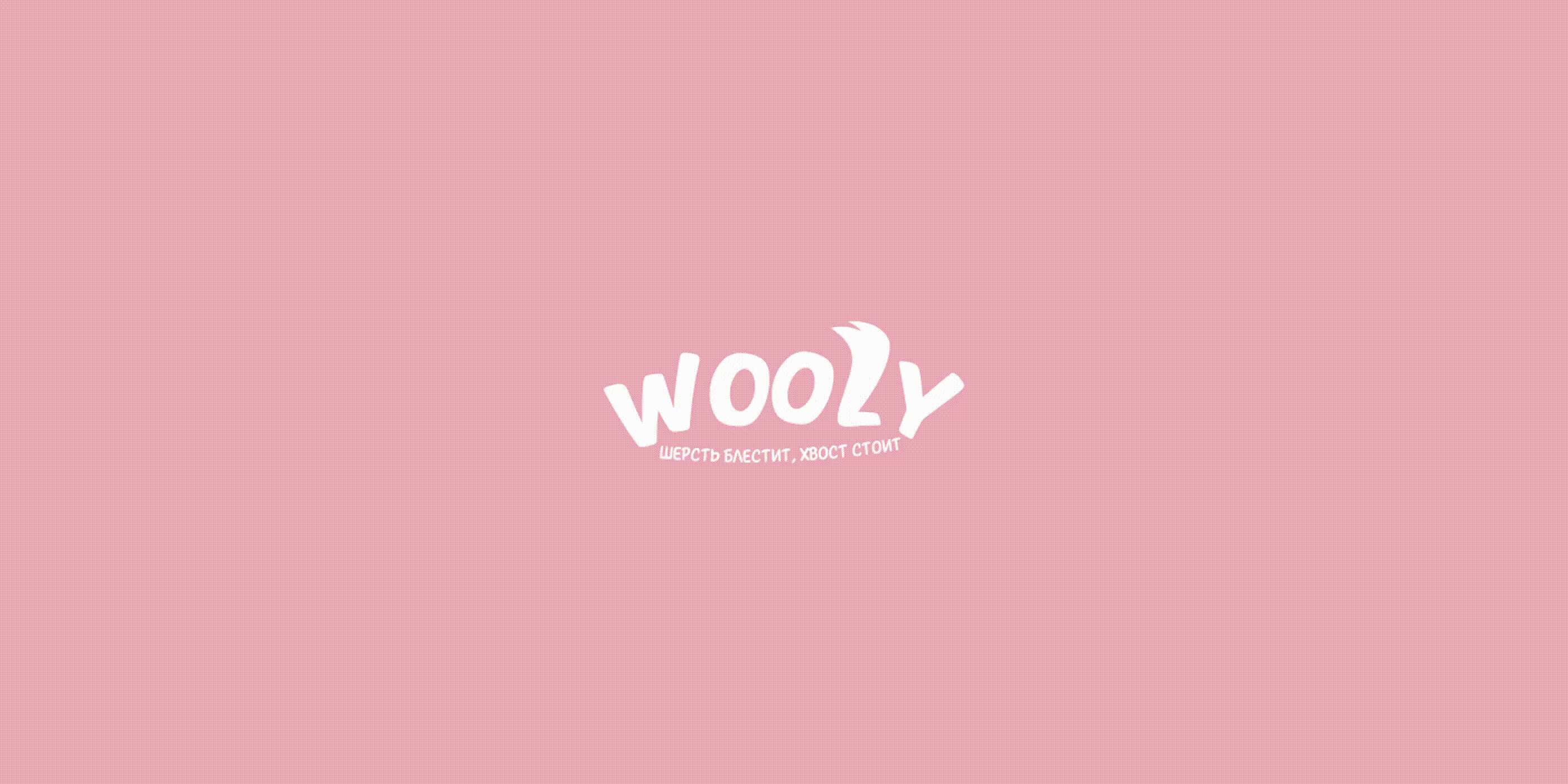 Wooly — Pet Food Branding & Packaging Design — Изображение №27 — Брендинг на Dprofile