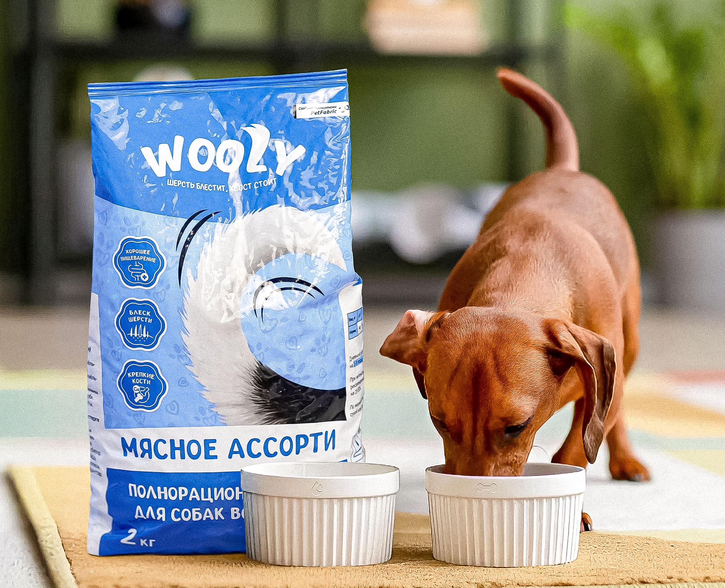 Wooly — Pet Food Branding & Packaging Design на Dprofile