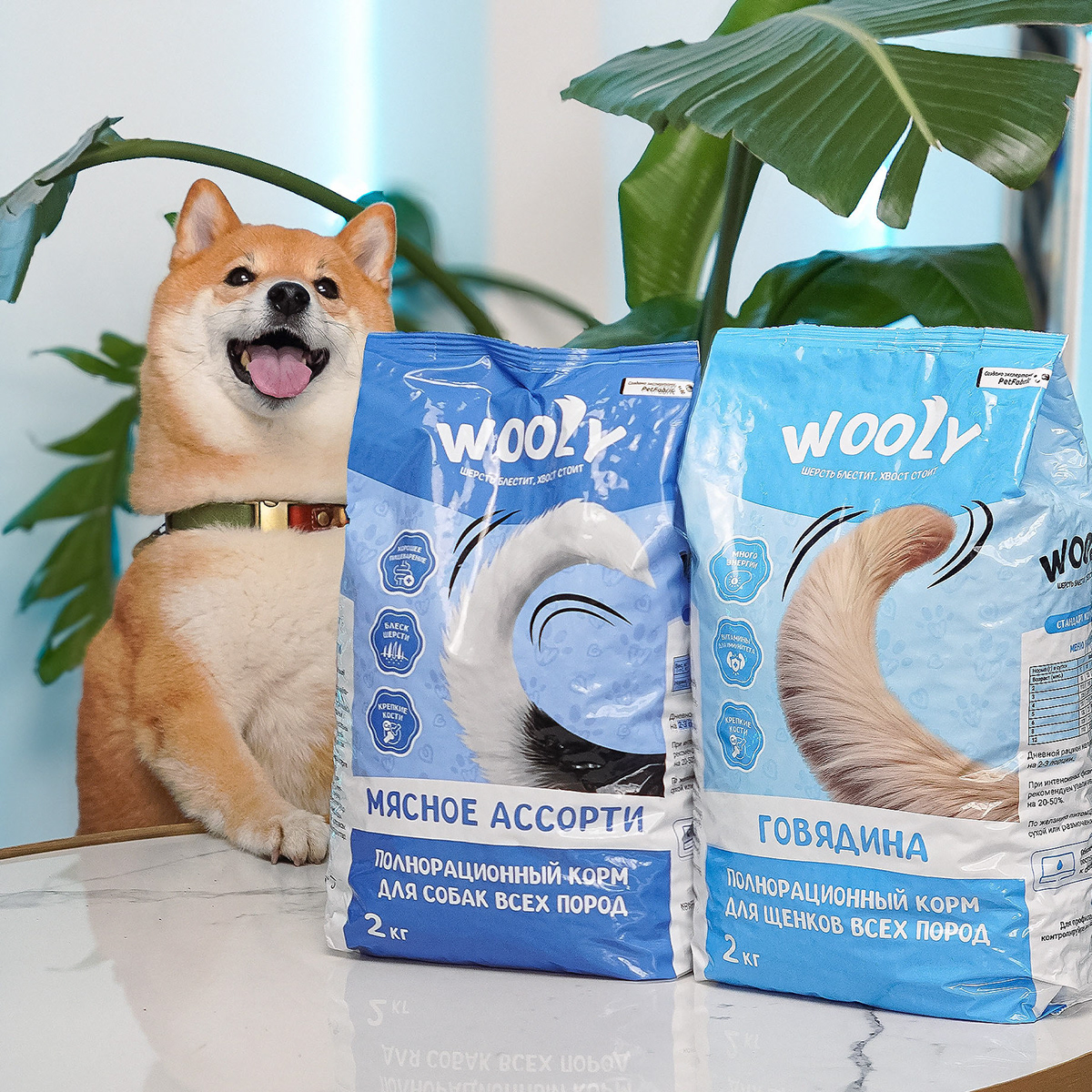 Wooly — Pet Food Branding & Packaging Design — Изображение №13 — Брендинг на Dprofile