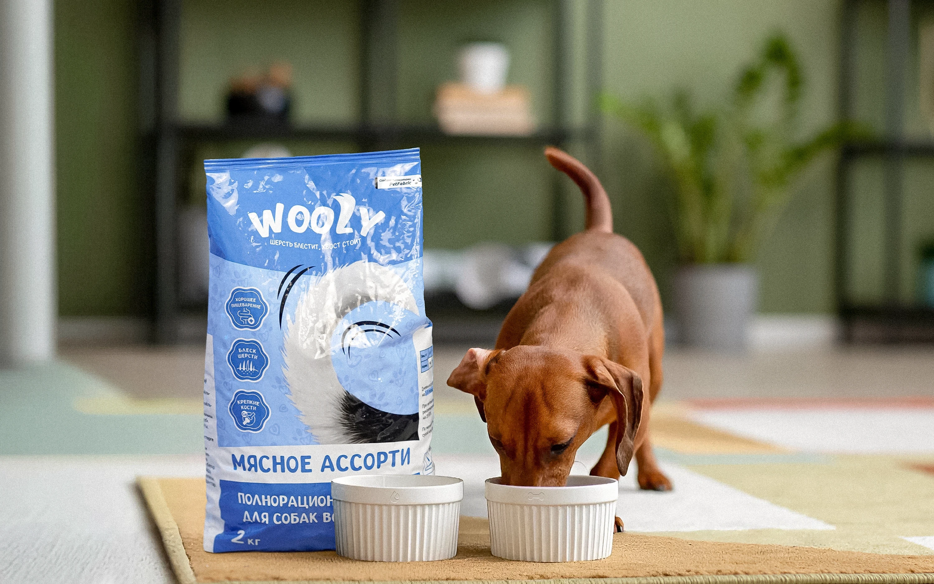 Wooly — Pet Food Branding & Packaging Design — Изображение №1 — Брендинг на Dprofile
