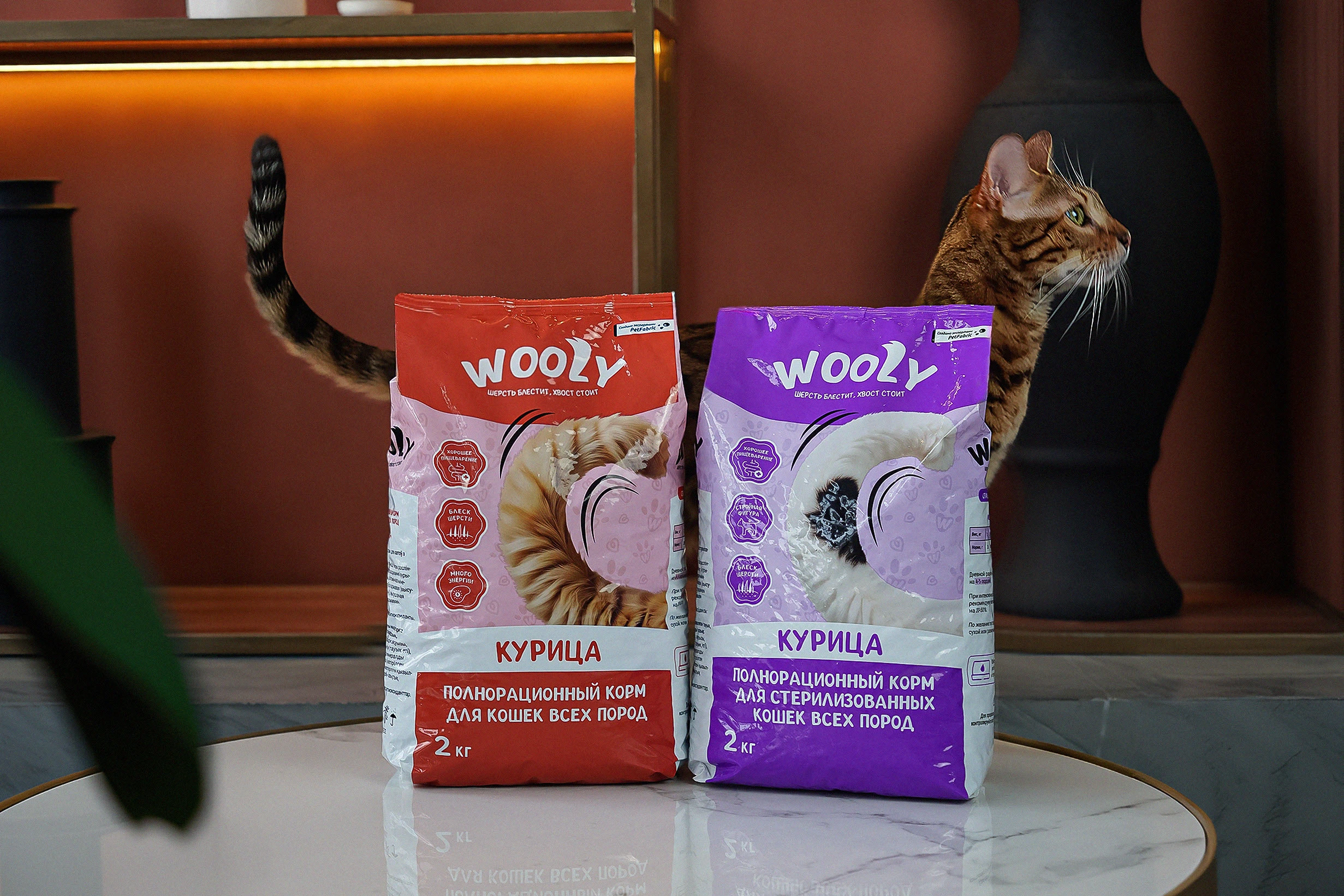 Wooly — Pet Food Branding & Packaging Design — Изображение №18 — Брендинг на Dprofile
