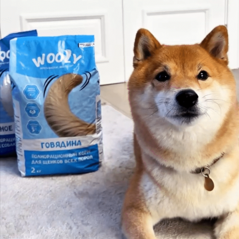 Wooly — Pet Food Branding & Packaging Design — Изображение №20 — Брендинг на Dprofile