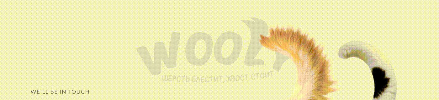 Wooly — Pet Food Branding & Packaging Design — Изображение №40 — Брендинг на Dprofile