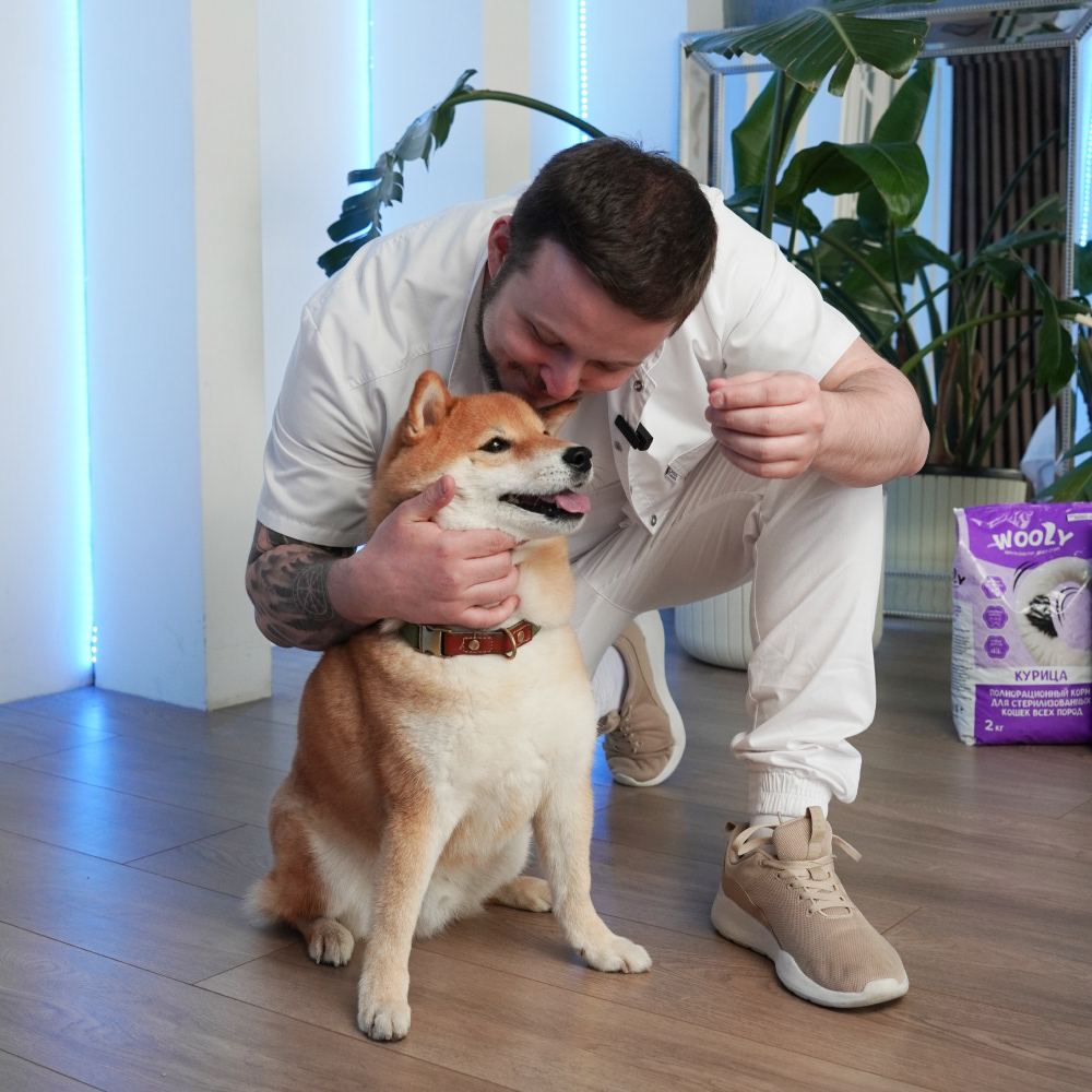 Wooly — Pet Food Branding & Packaging Design — Изображение №39 — Брендинг на Dprofile