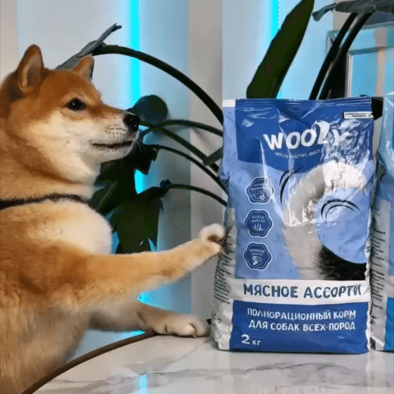 Wooly — Pet Food Branding & Packaging Design — Изображение №3 — Брендинг на Dprofile