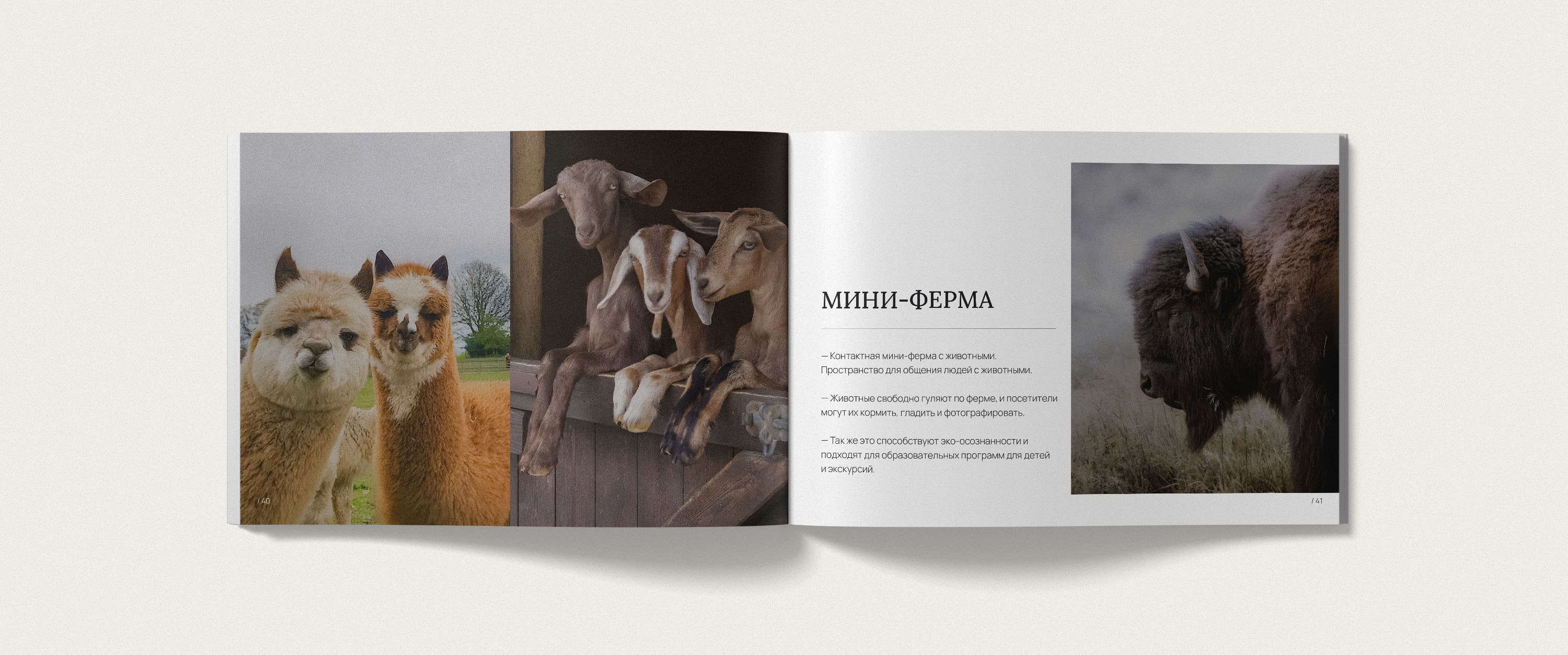 Каталог для элитного клубного поселка «Кавголовские холмы» — Изображение №27 — Брендинг, Графика на Dprofile