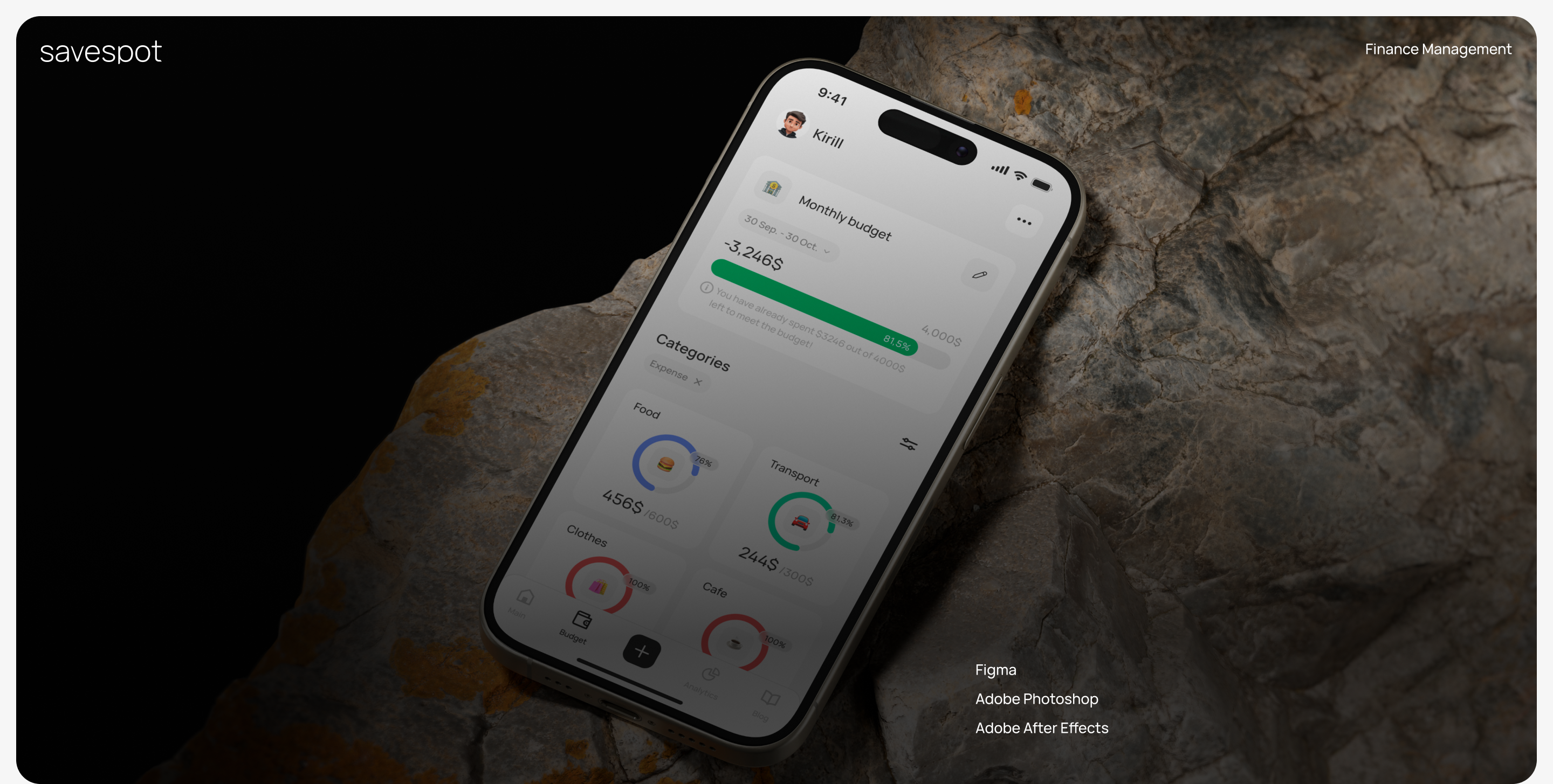 SaveSpot - мобильное приложение для управления финансами — Изображение №1 — Интерфейсы на Dprofile