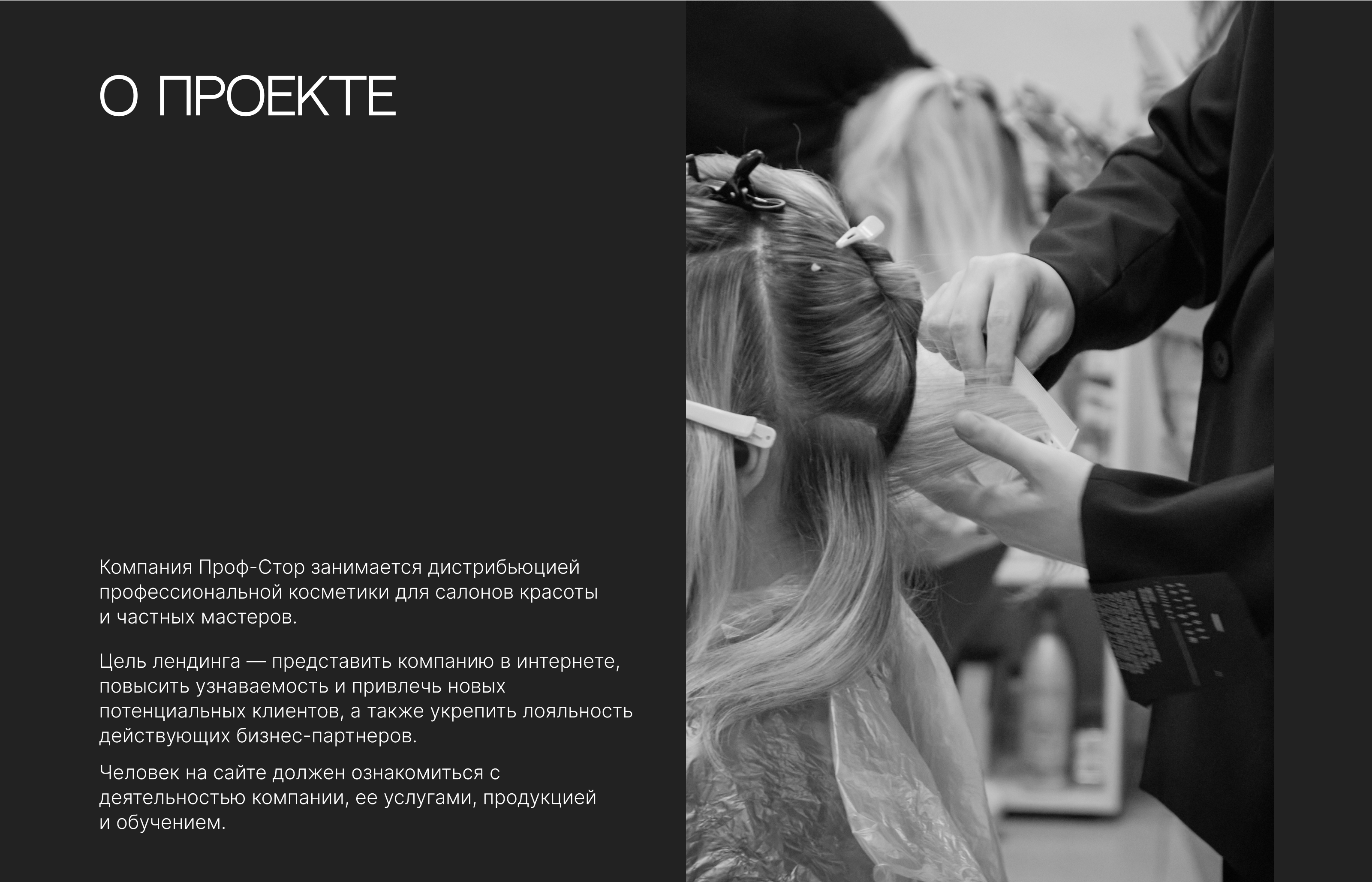 Лендинг для Бьюти-студии / Салона Красоты — Изображение №2 — Интерфейсы на Dprofile