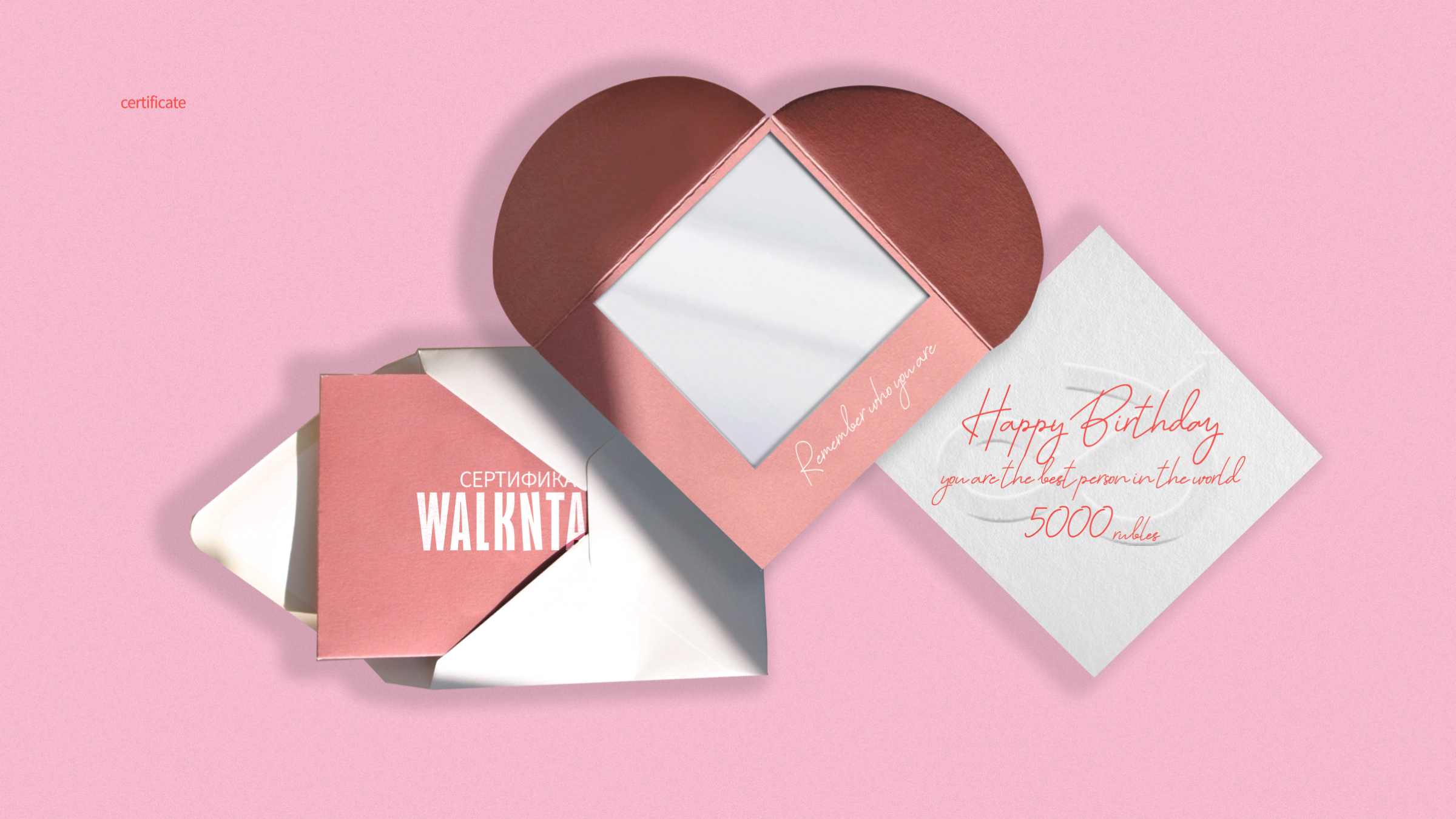 BRAND IDENTITY // CLOTHING BRAND // WALKNTALK — Изображение №8 — Брендинг, Иллюстрация на Dprofile