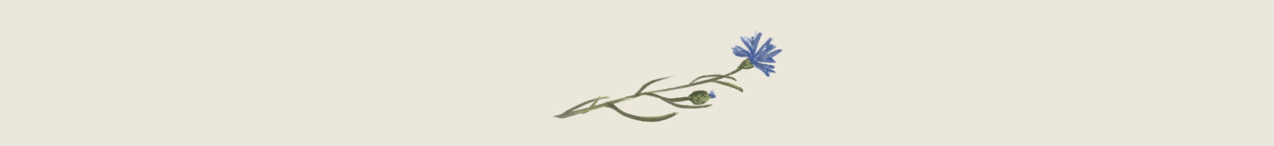 Как бы я рисовала для Gucci. Паттерн, иллюстрация — Изображение №17 — Брендинг, Иллюстрация на Dprofile