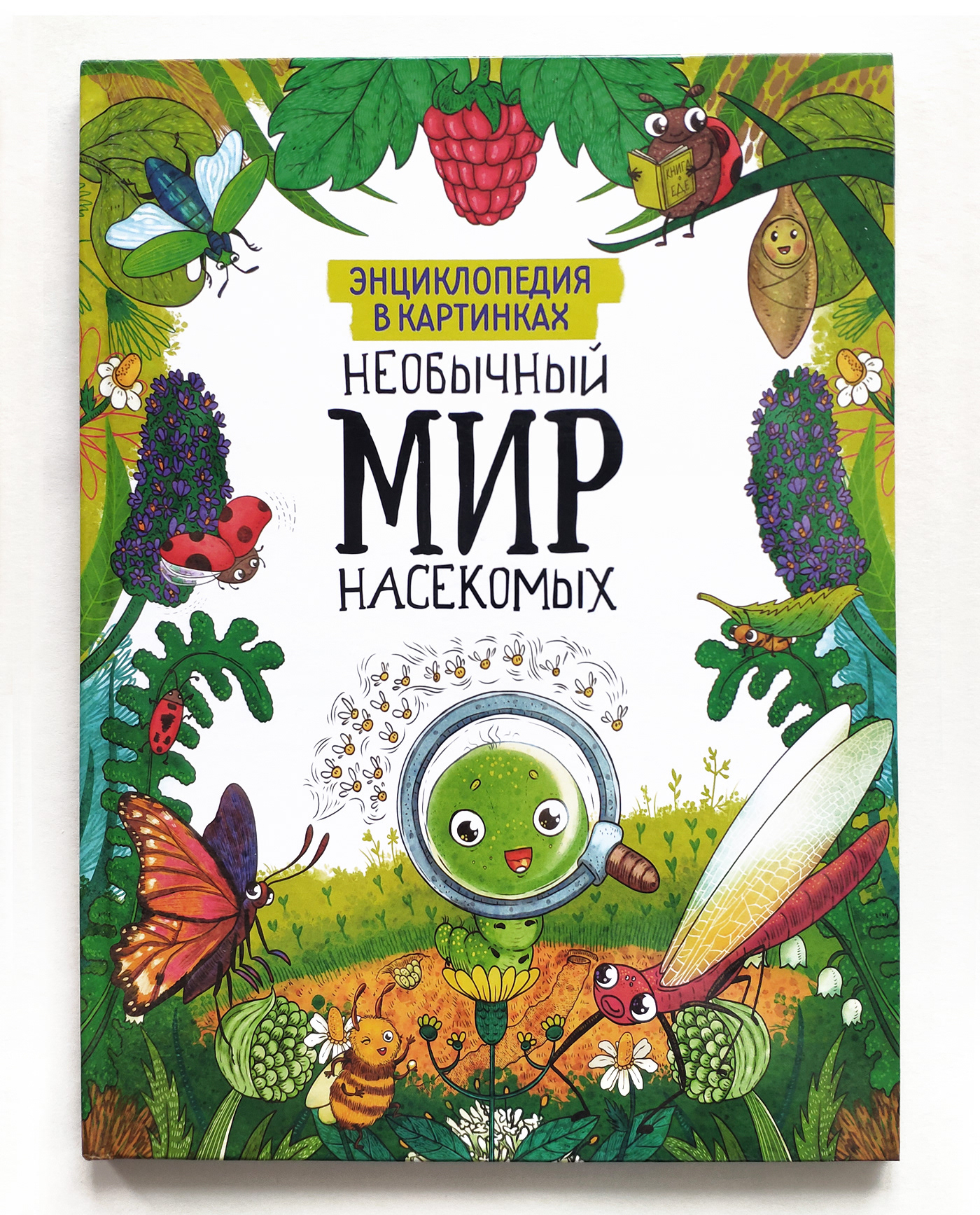 Энциклопедия насекомых для детей — Изображение №1 — Иллюстрация, Графика на Dprofile
