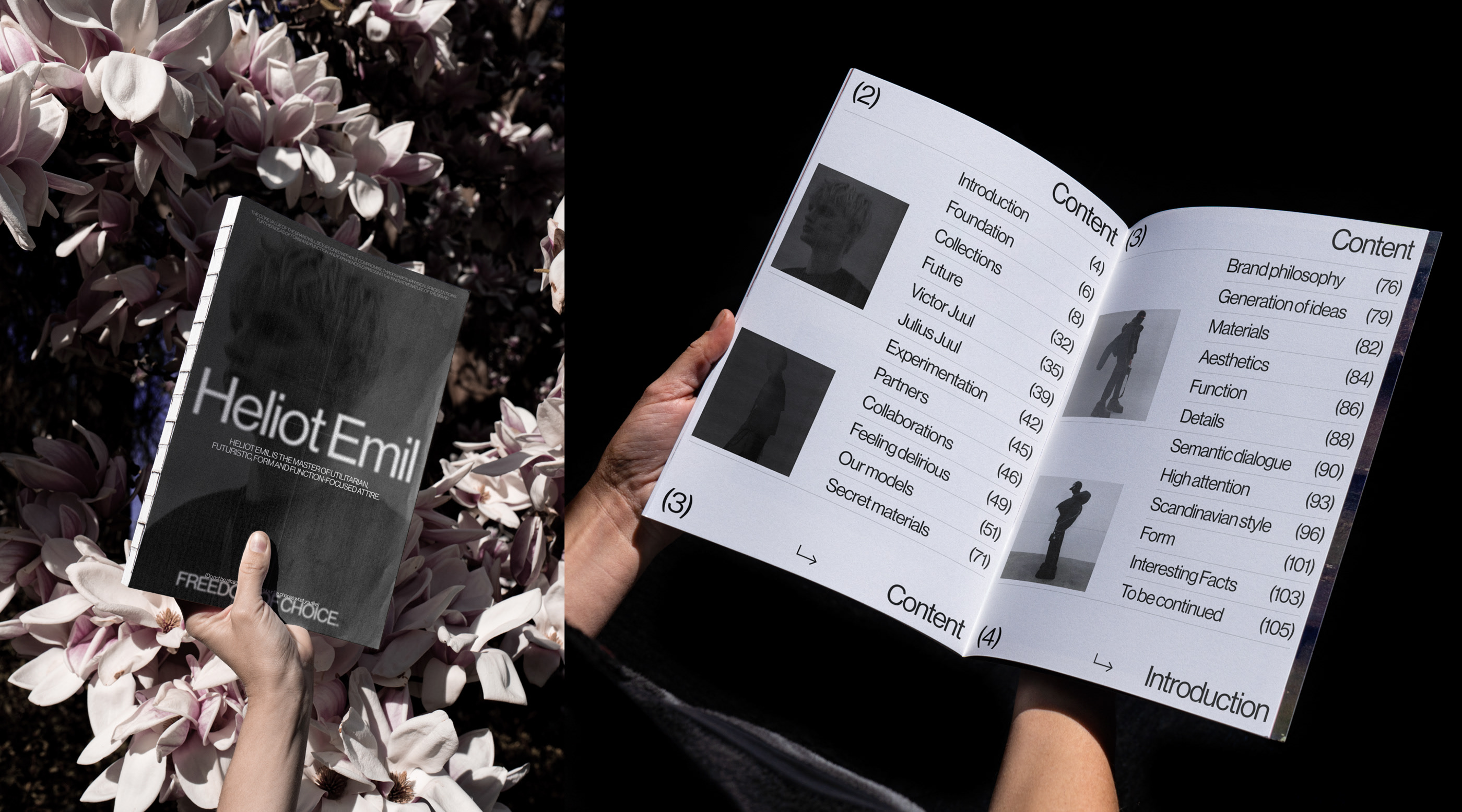 Heliot Emil — Изображение №1 — Интерфейсы, Брендинг, Анимация на Dprofile