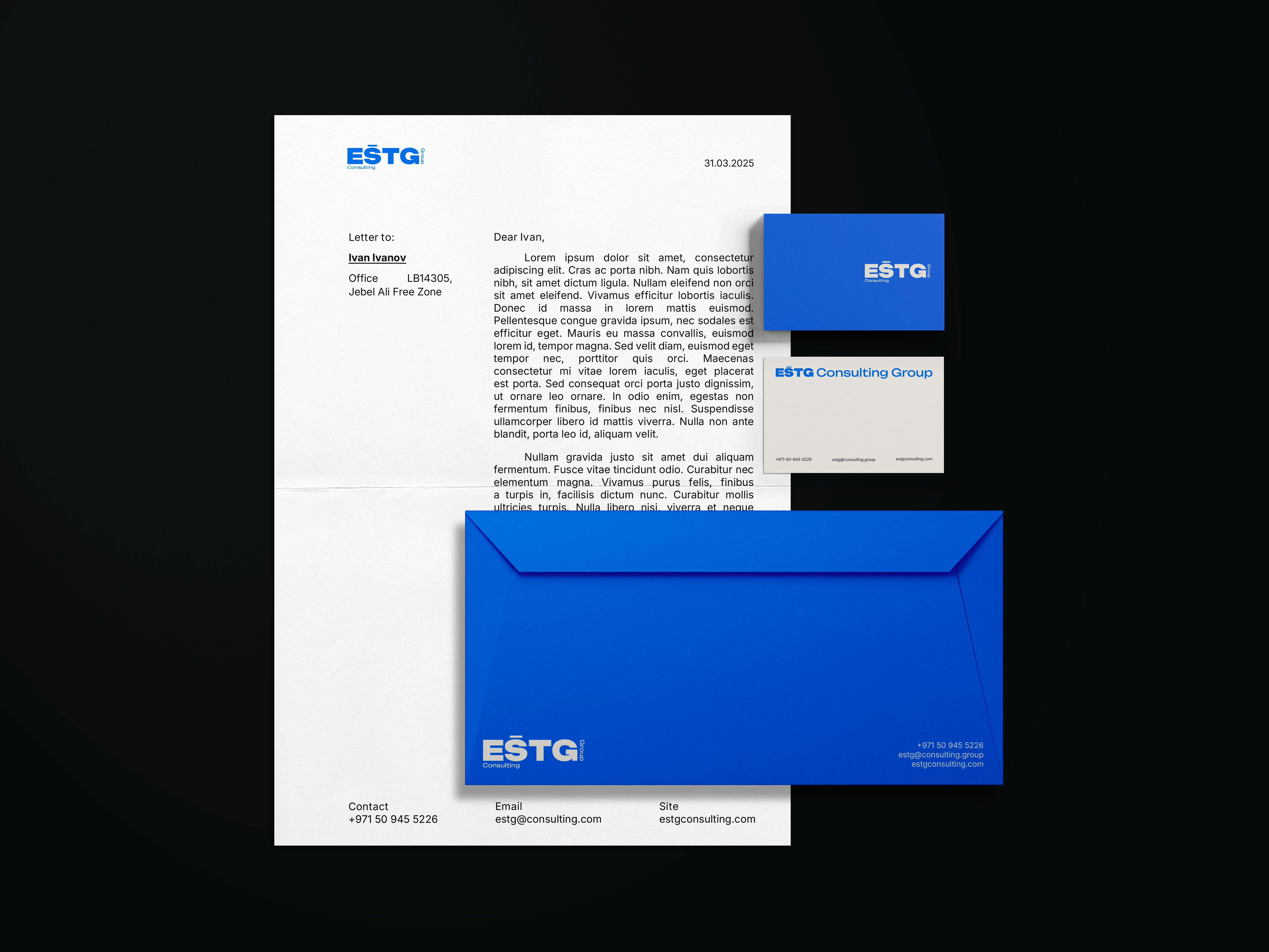 ESTG Consulting Group | Brand Identity — Изображение №3 — Брендинг на Dprofile