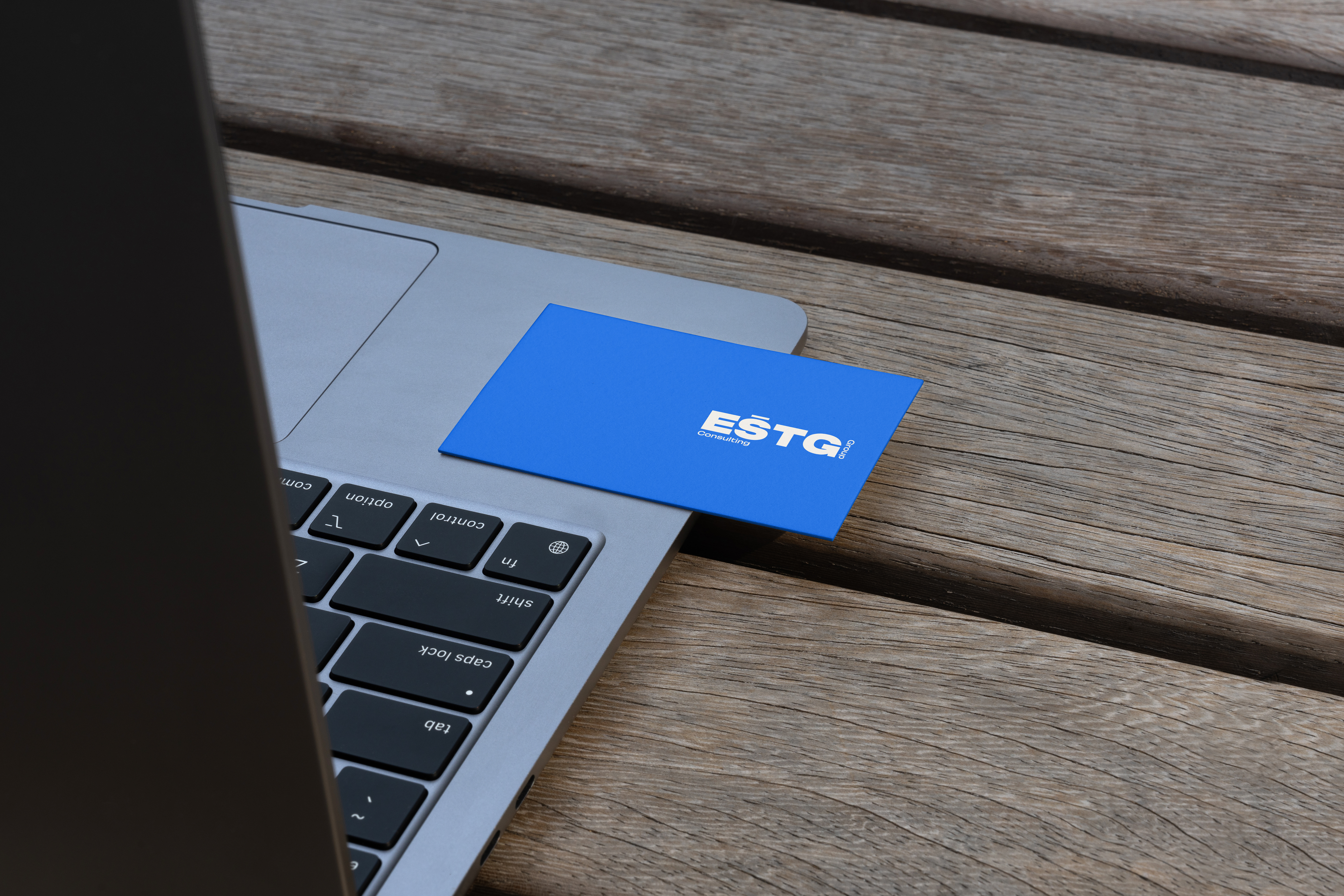 ESTG Consulting Group | Brand Identity — Изображение №4 — Брендинг на Dprofile