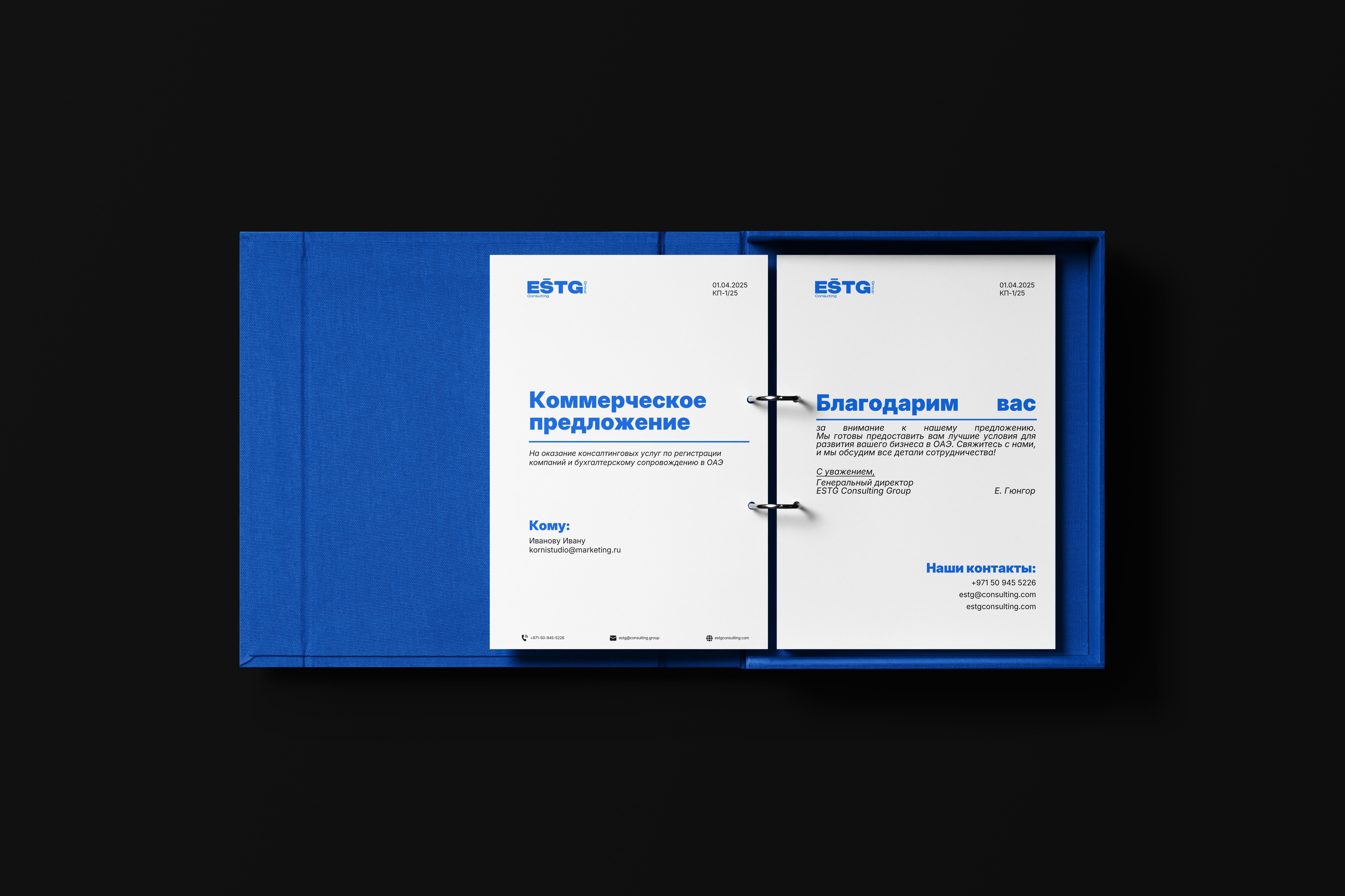 ESTG Consulting Group | Brand Identity — Изображение №7 — Брендинг на Dprofile