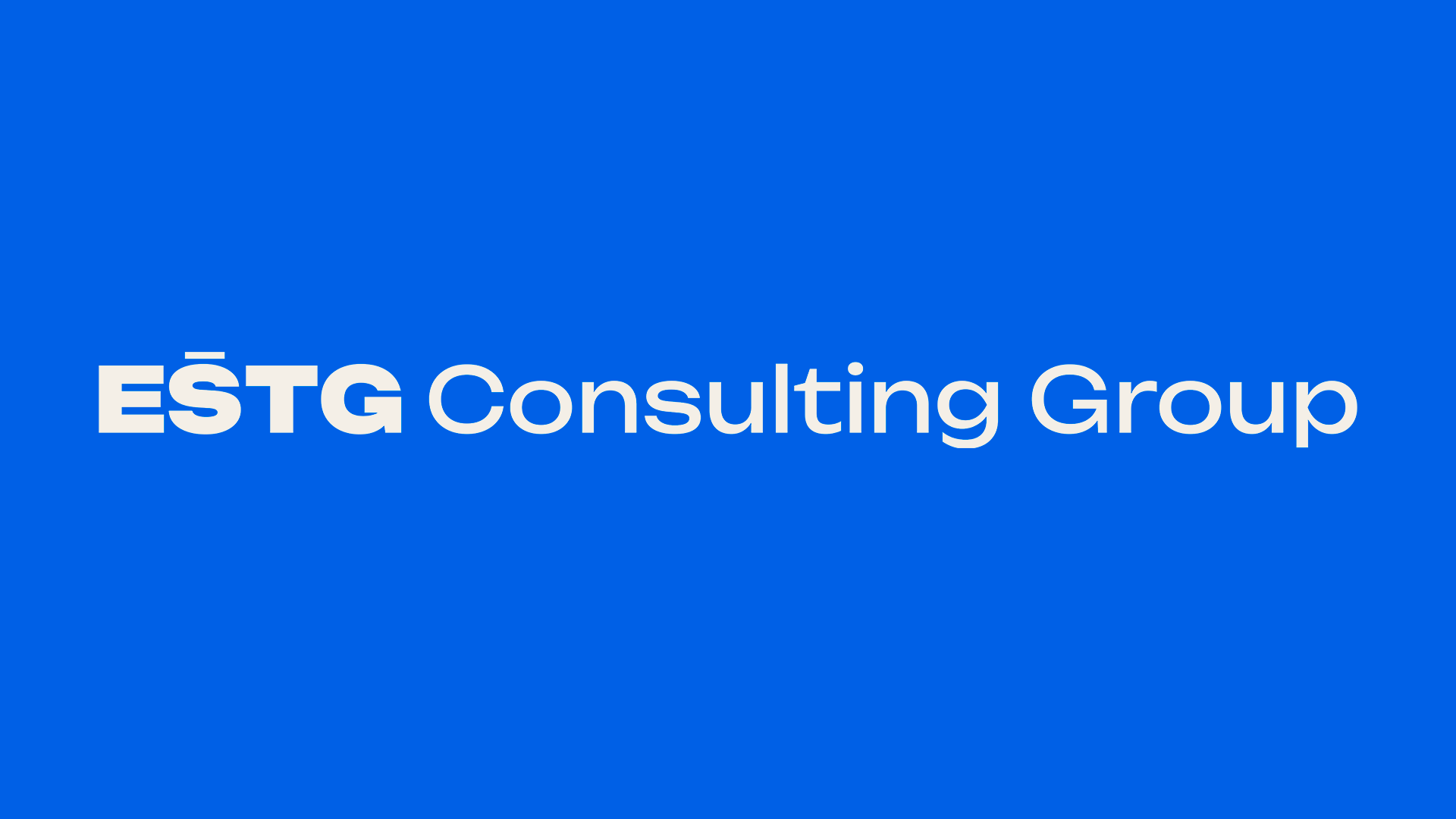 ESTG Consulting Group | Brand Identity — Изображение №2 — Брендинг на Dprofile