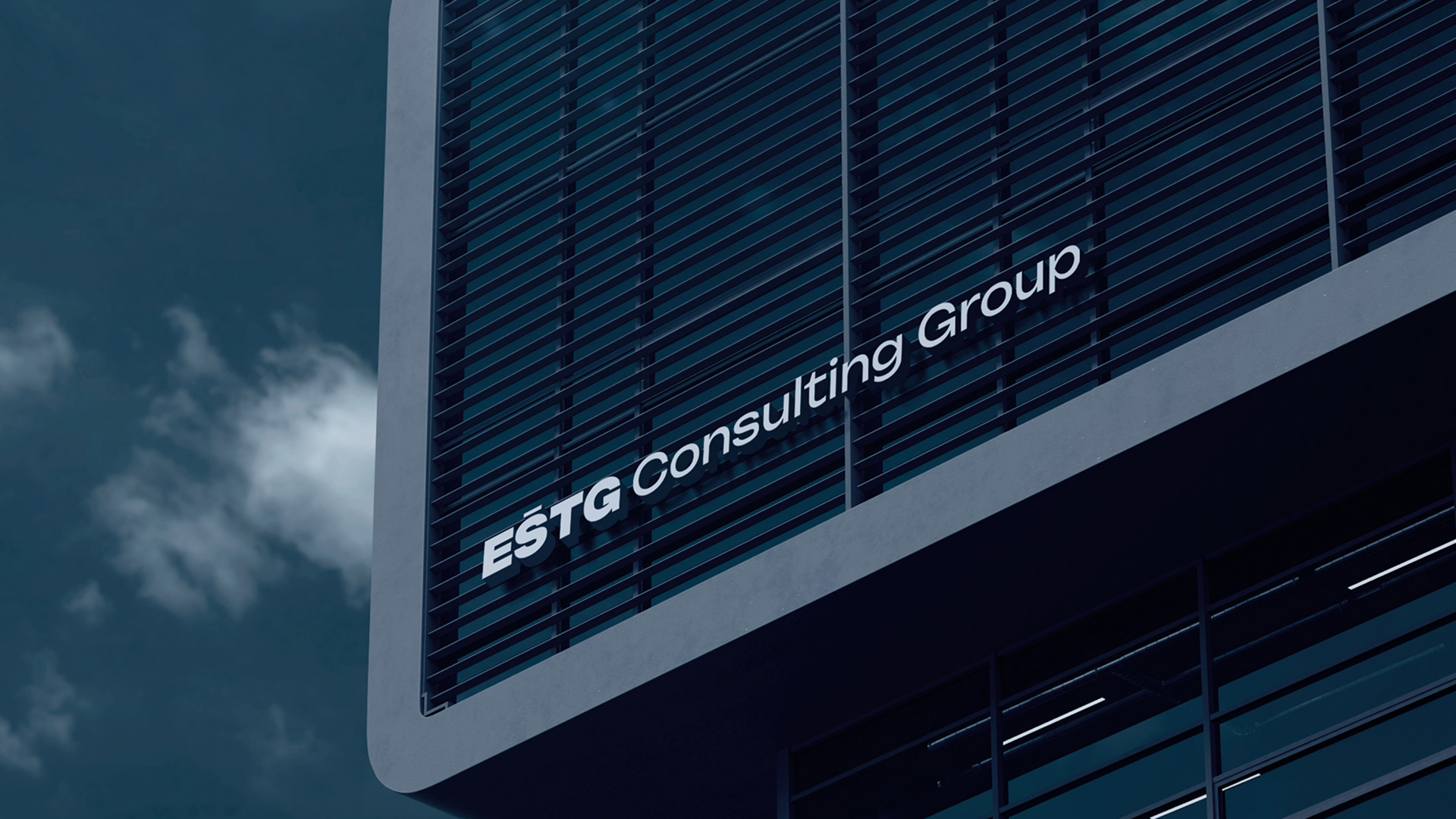 ESTG Consulting Group | Brand Identity — Изображение №1 — Брендинг на Dprofile