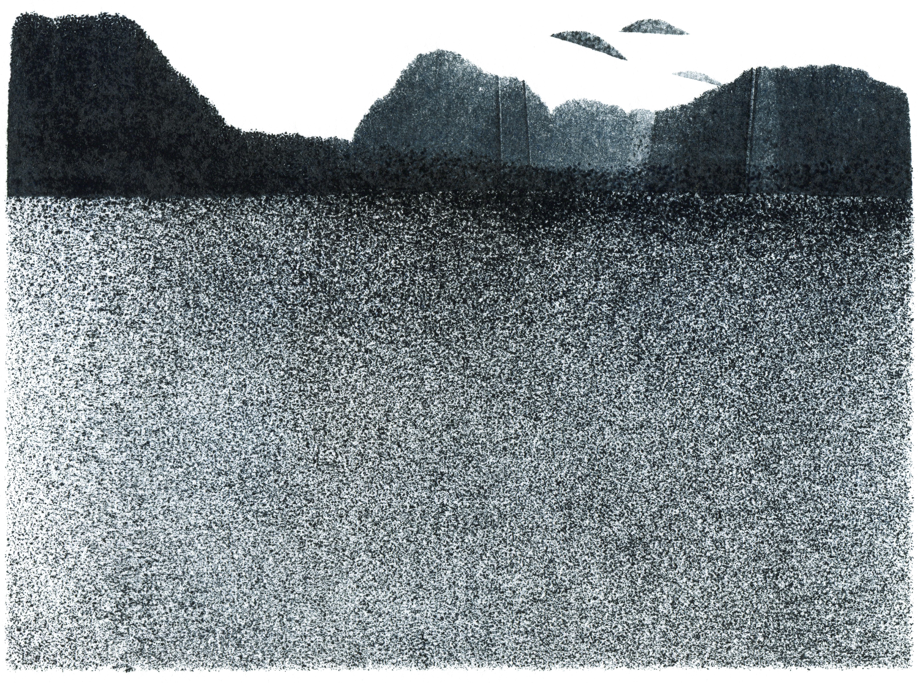 Silent landscape/monotype — Изображение №13 — Иллюстрация, Графика на Dprofile