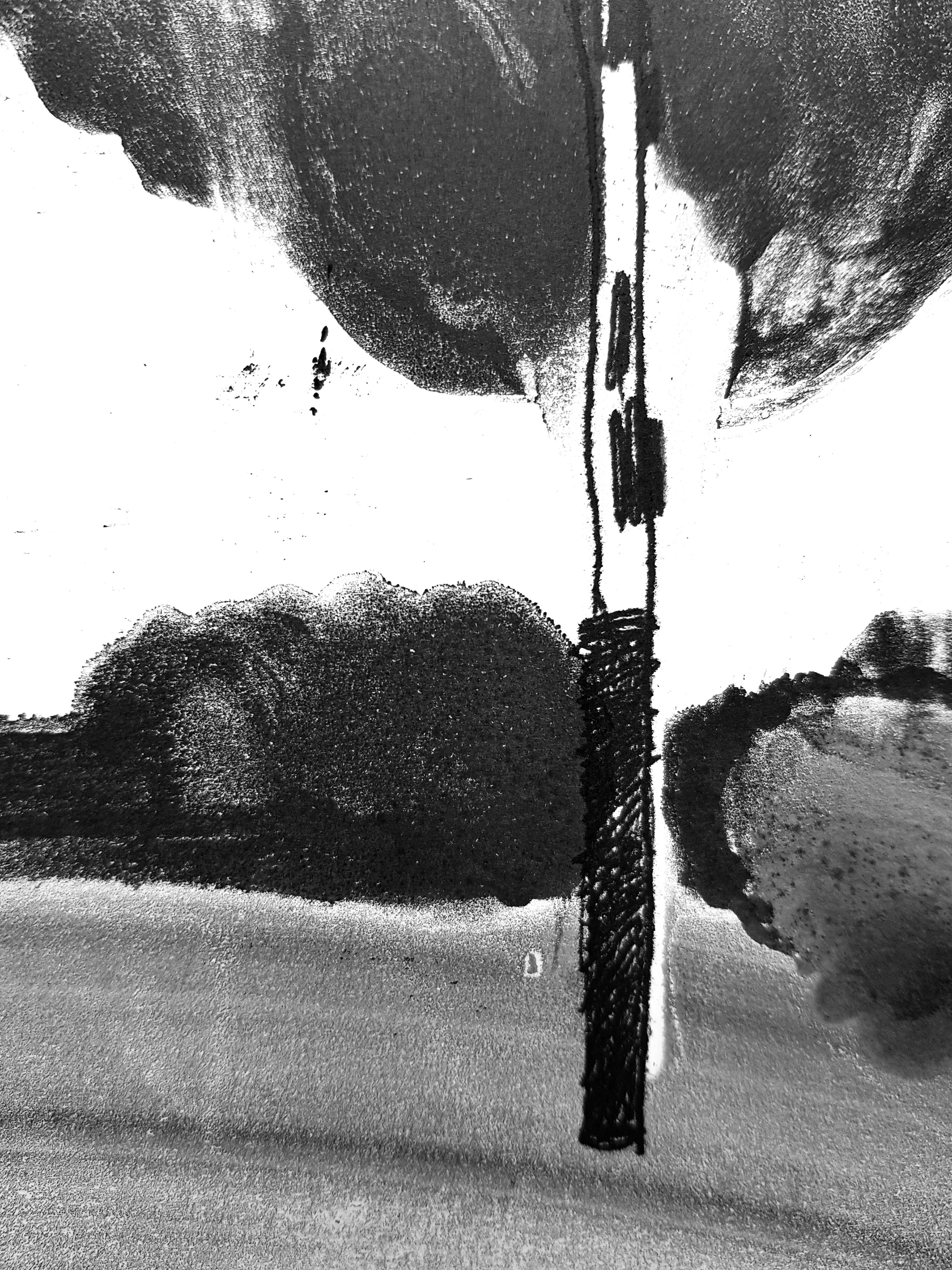 Birch and cloud/monotype — Изображение №8 — Иллюстрация, Графика на Dprofile