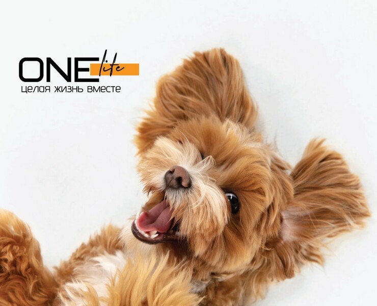 ONE life — Брендинг, Графика на Dprofile