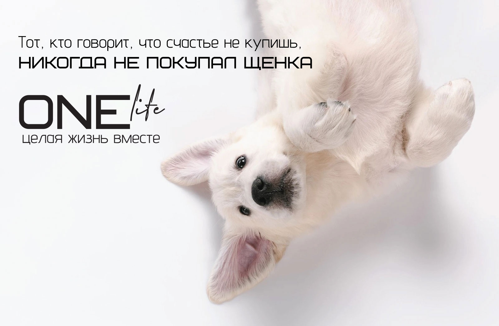 ONE life — Изображение №22 — Брендинг, Графика на Dprofile
