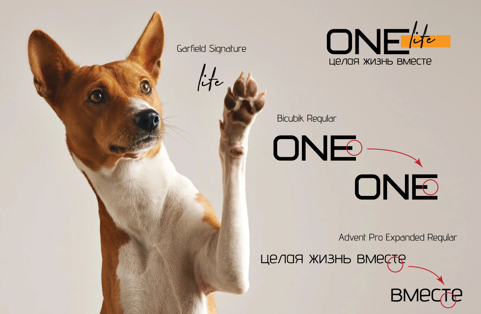 ONE life — Изображение №3 — Брендинг, Графика на Dprofile