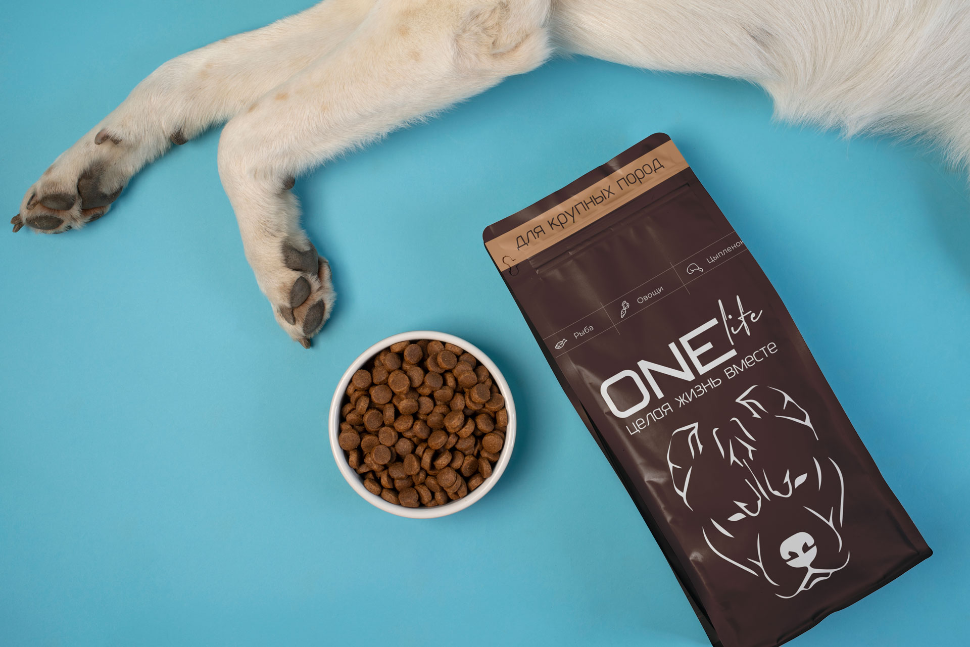 ONE life — Изображение №20 — Брендинг, Графика на Dprofile