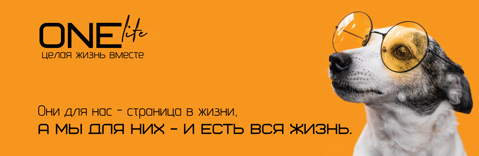 ONE life — Изображение №2 — Брендинг, Графика на Dprofile