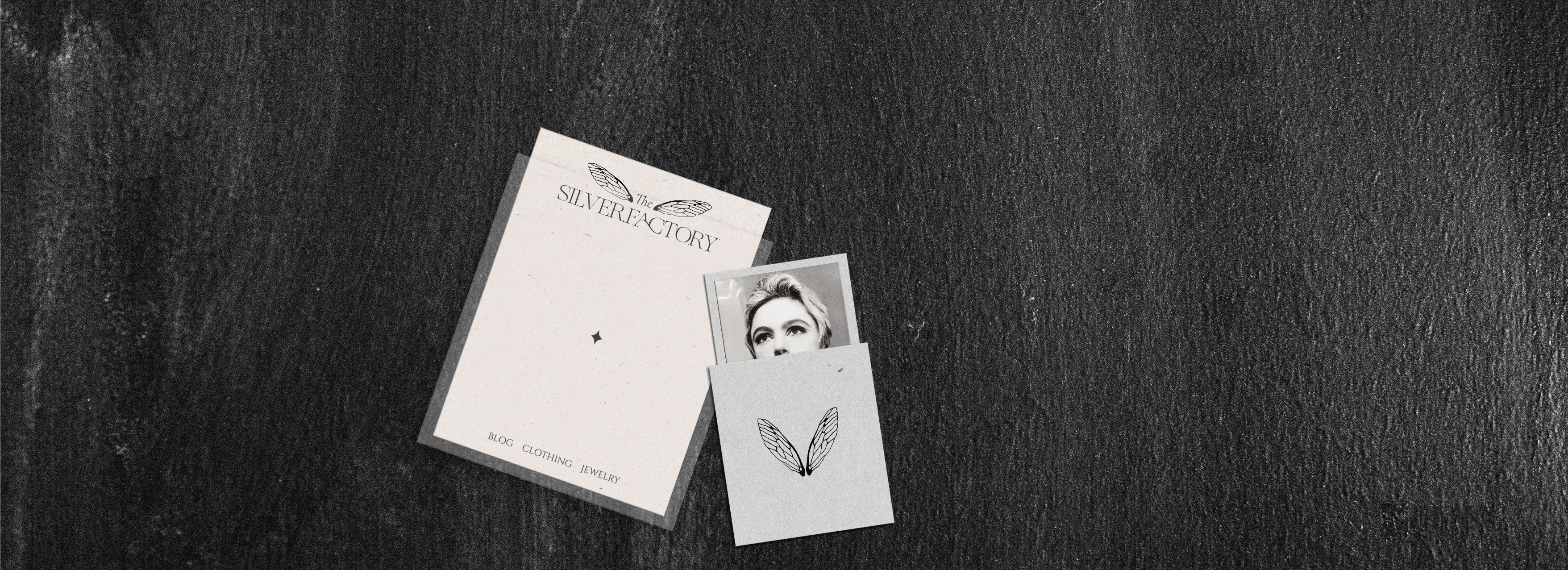 The Silver Factory branding — Изображение №14 — Брендинг, Графика на Dprofile