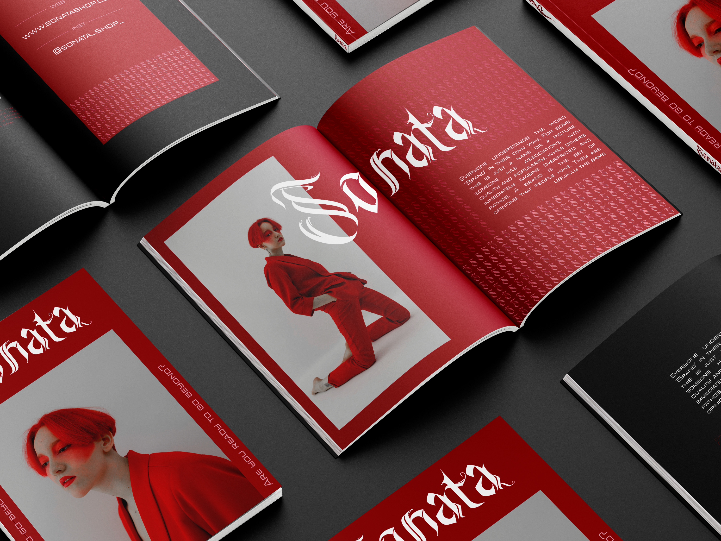 Sonata - Branding — Изображение №11 — Брендинг, Графика на Dprofile