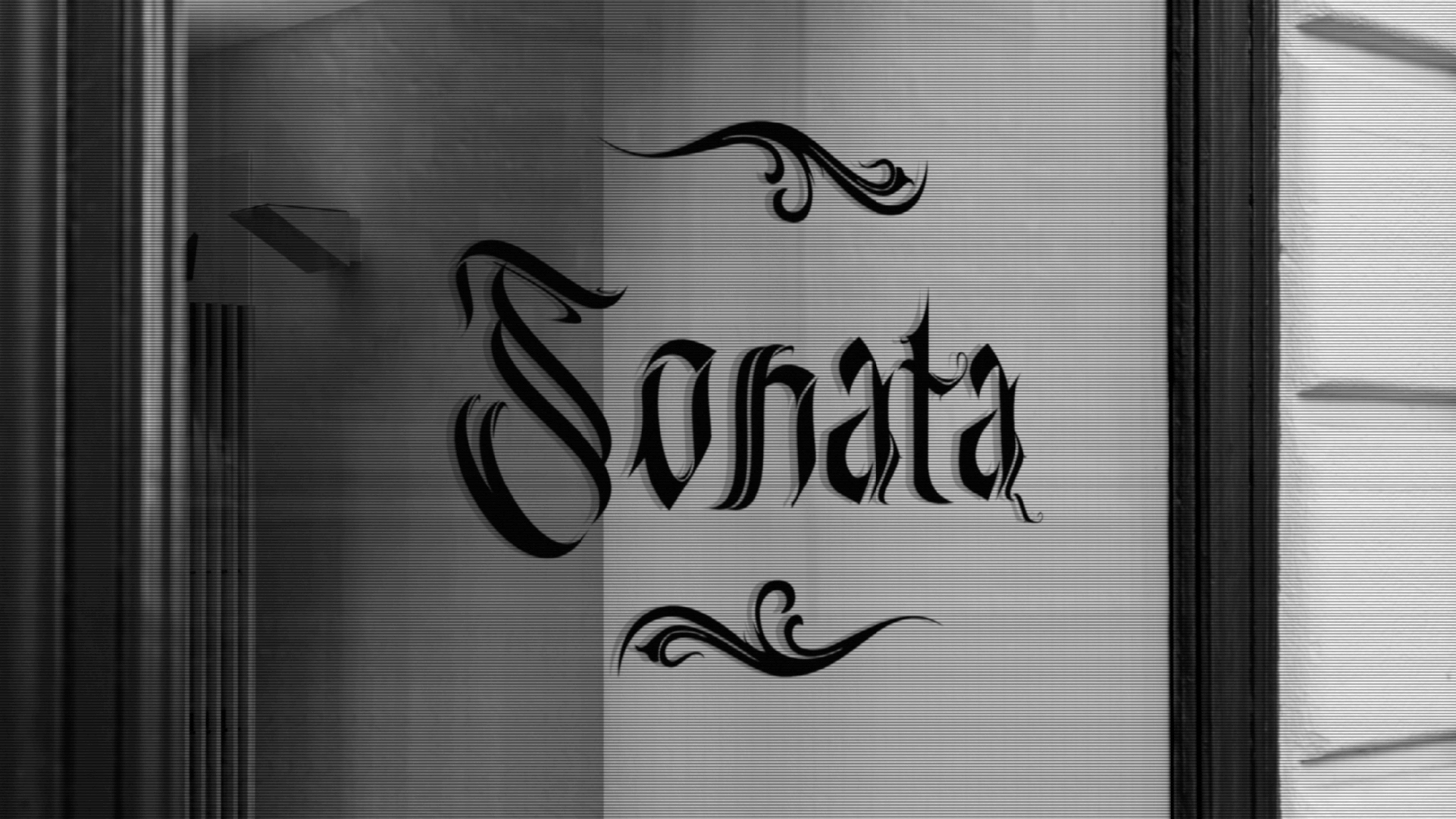 Sonata - Branding — Изображение №10 — Брендинг, Графика на Dprofile