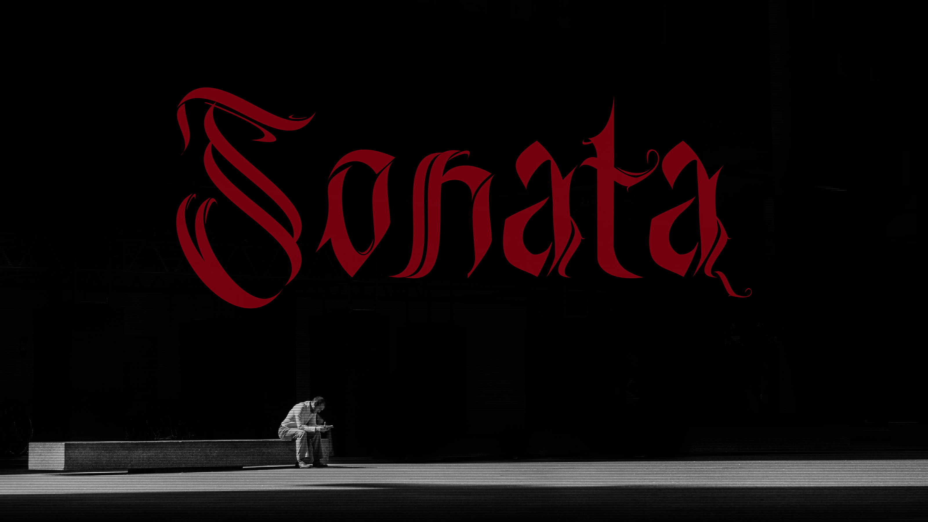 Sonata - Branding — Изображение №2 — Брендинг, Графика на Dprofile