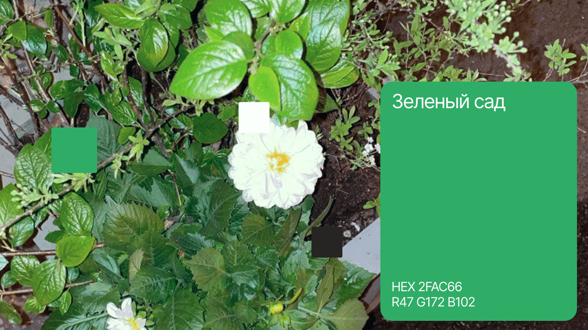 ReFlower сервис цветочных подписок — Изображение №16 — Брендинг на Dprofile