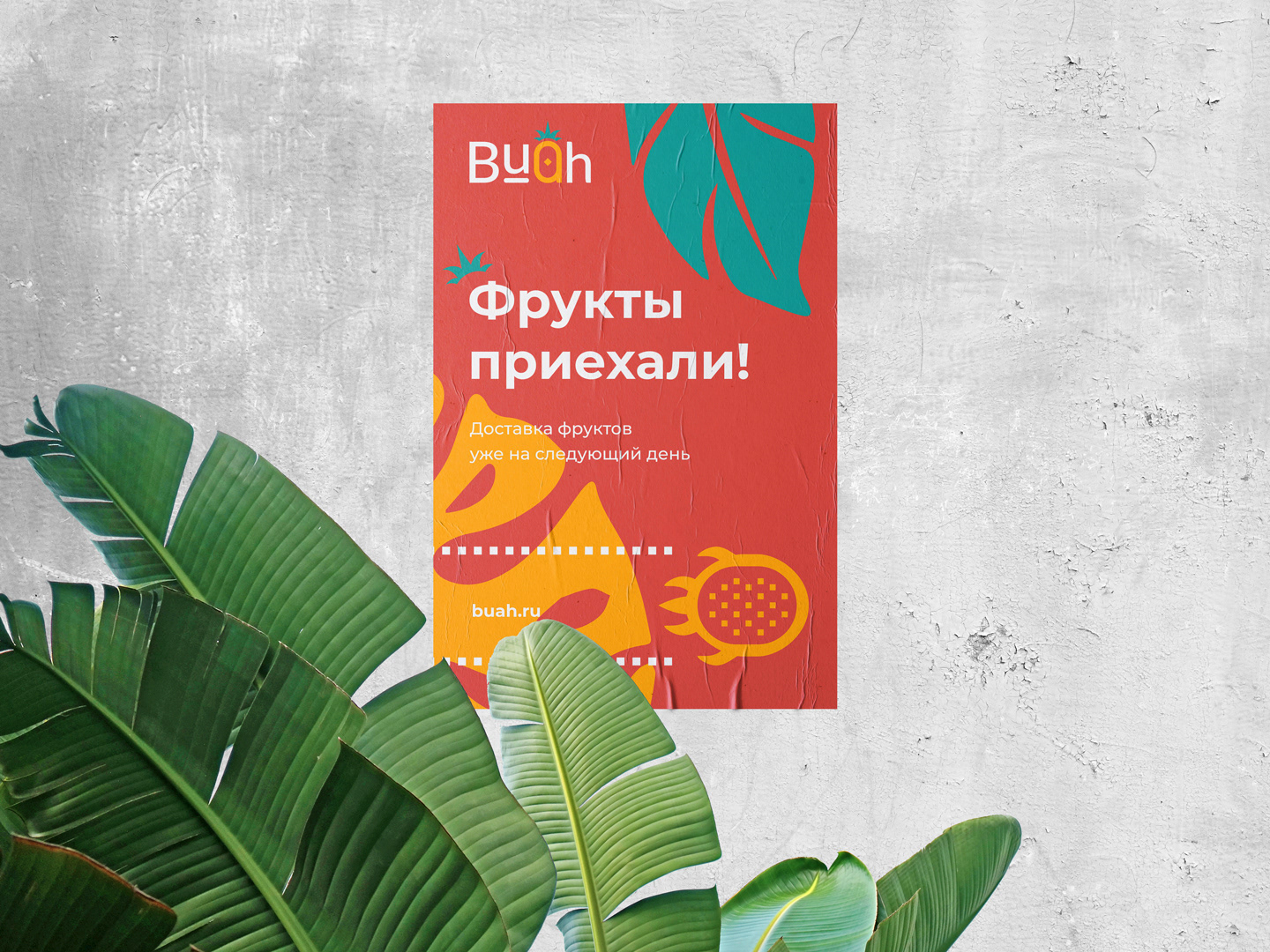 Доставка свежих фруктов на дом — Изображение №7 — Брендинг, Графика на Dprofile