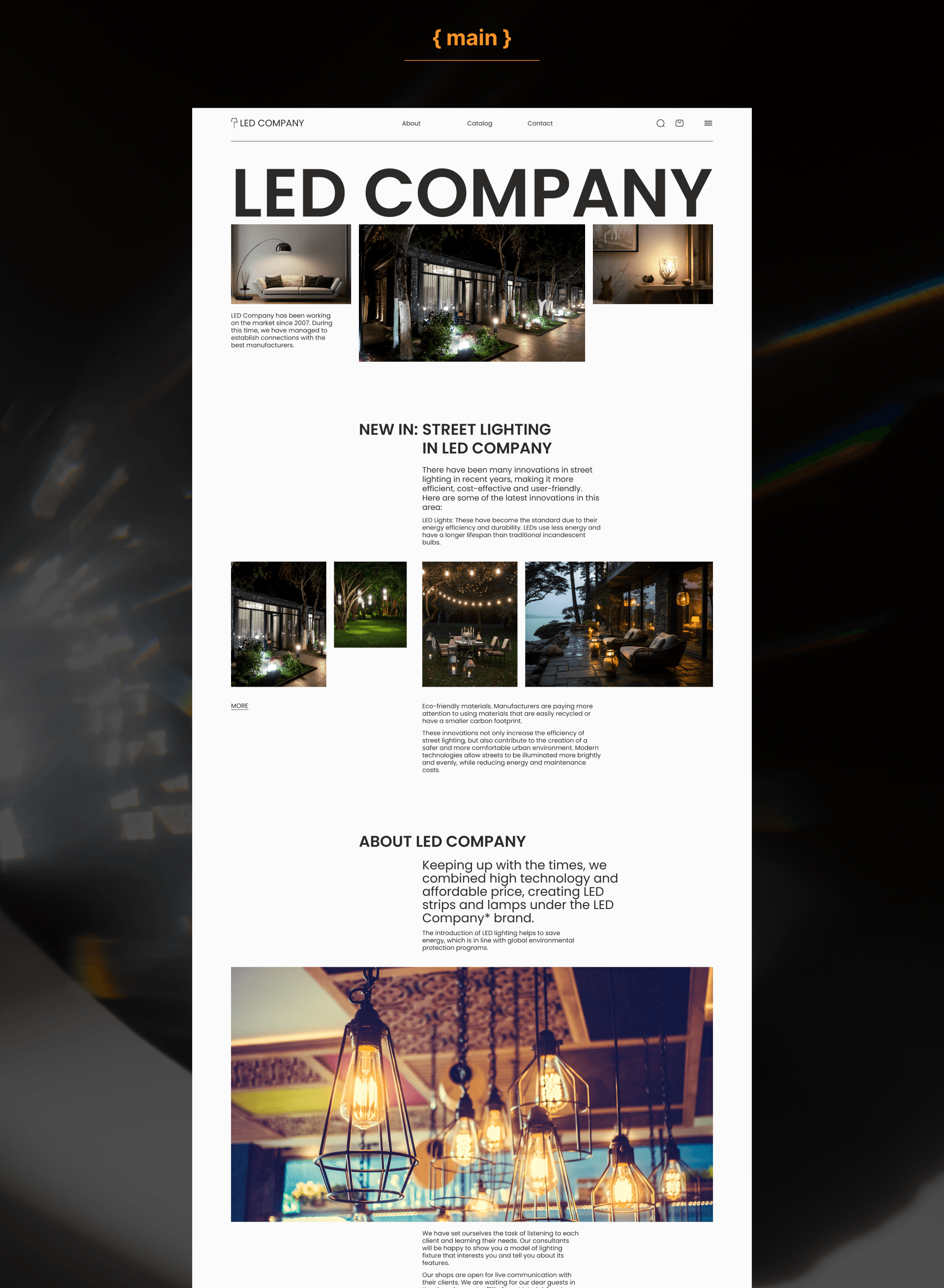 E-com website | LED COMPANY — Изображение №2 — Интерфейсы на Dprofile