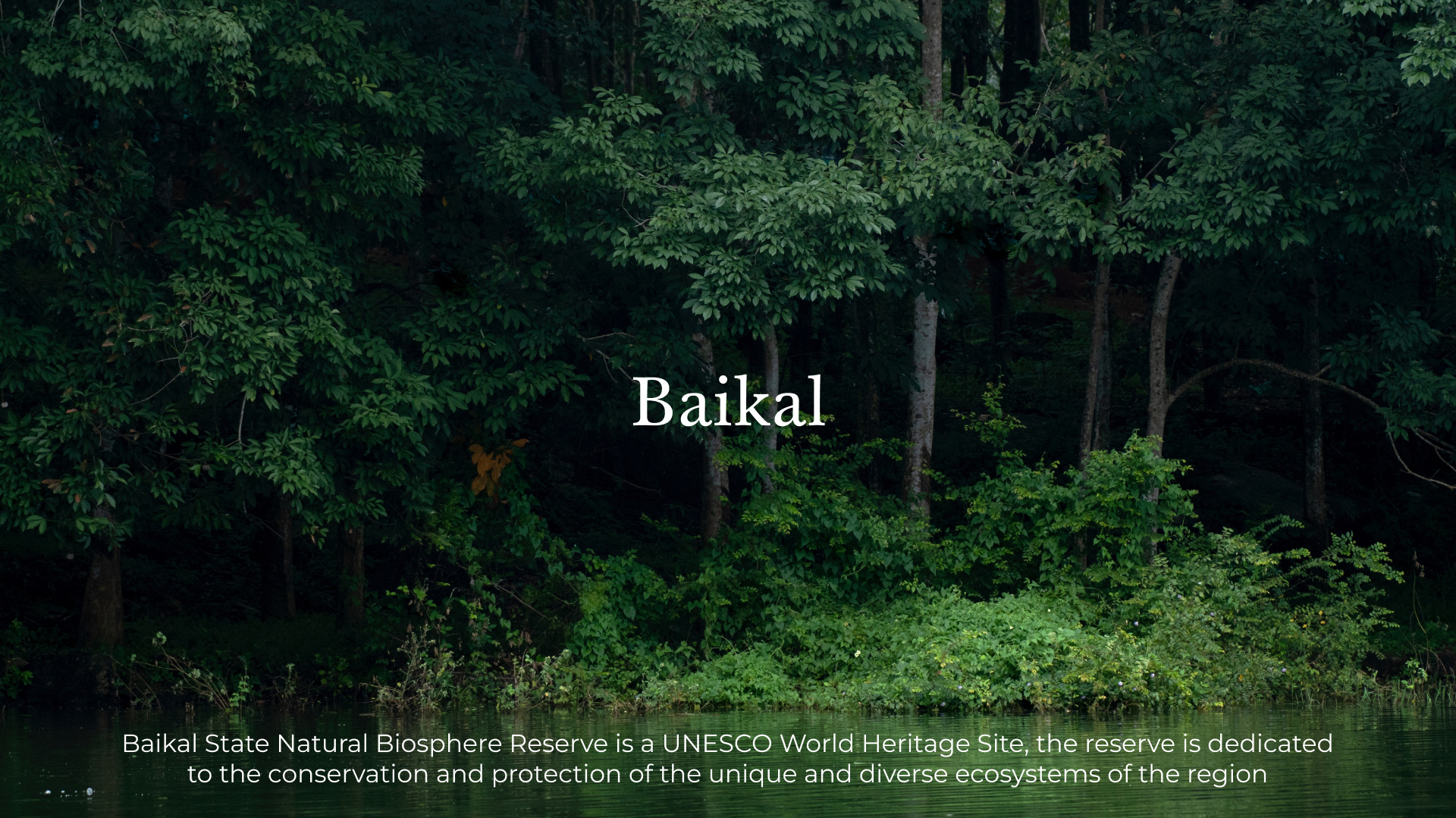 Baikal Reserve | Redesign Concept — Изображение №4 — Интерфейсы, Иллюстрация на Dprofile