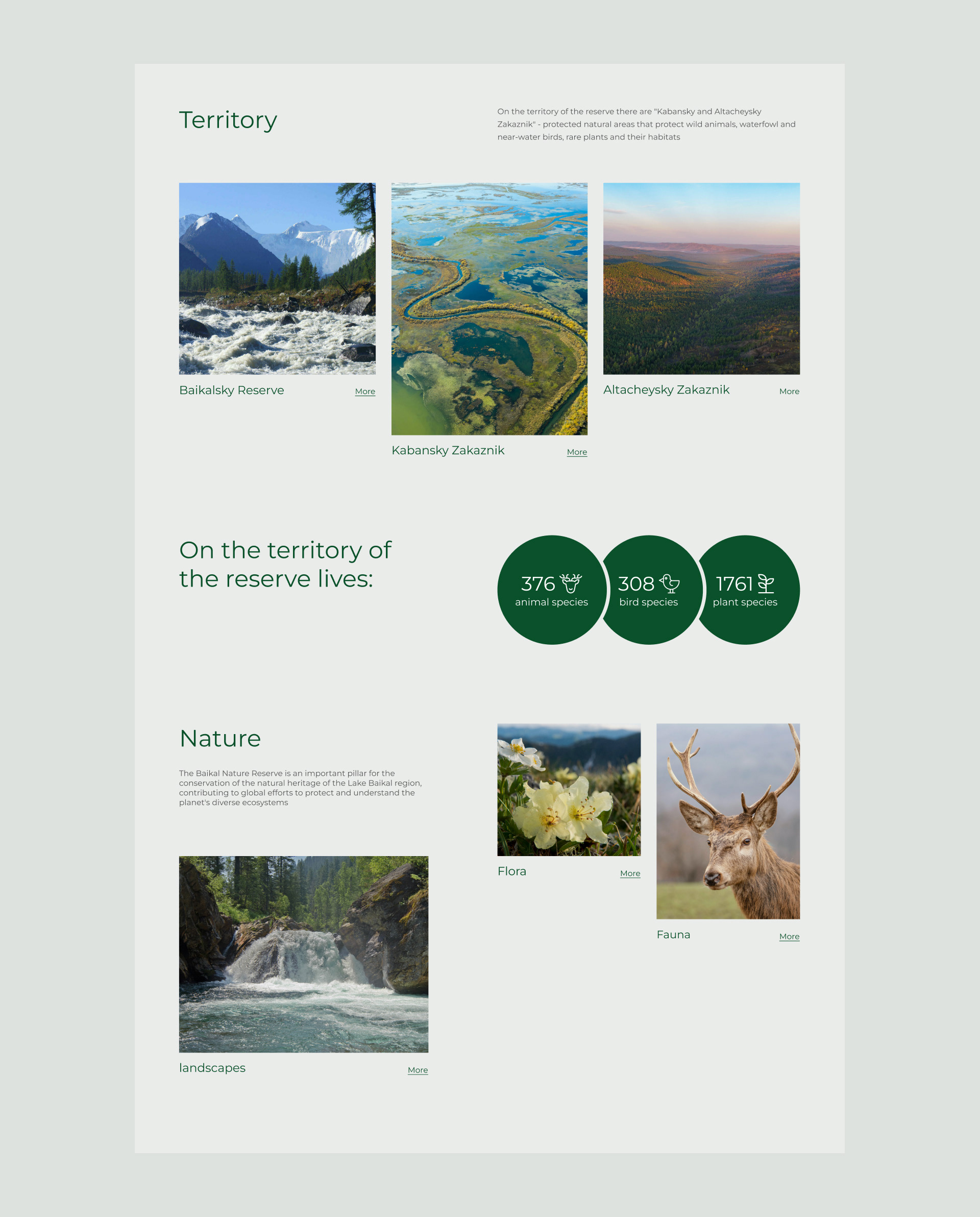 Baikal Reserve | Redesign Concept — Изображение №6 — Интерфейсы, Иллюстрация на Dprofile