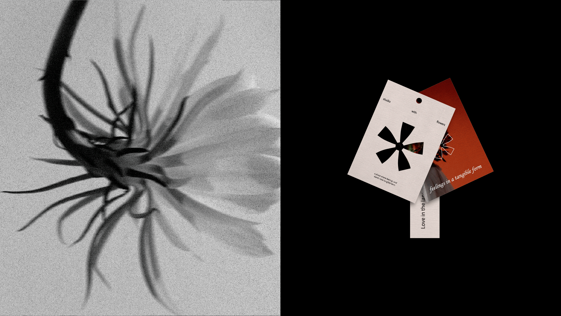 Flower studio / brand identity — Изображение №17 — Брендинг на Dprofile