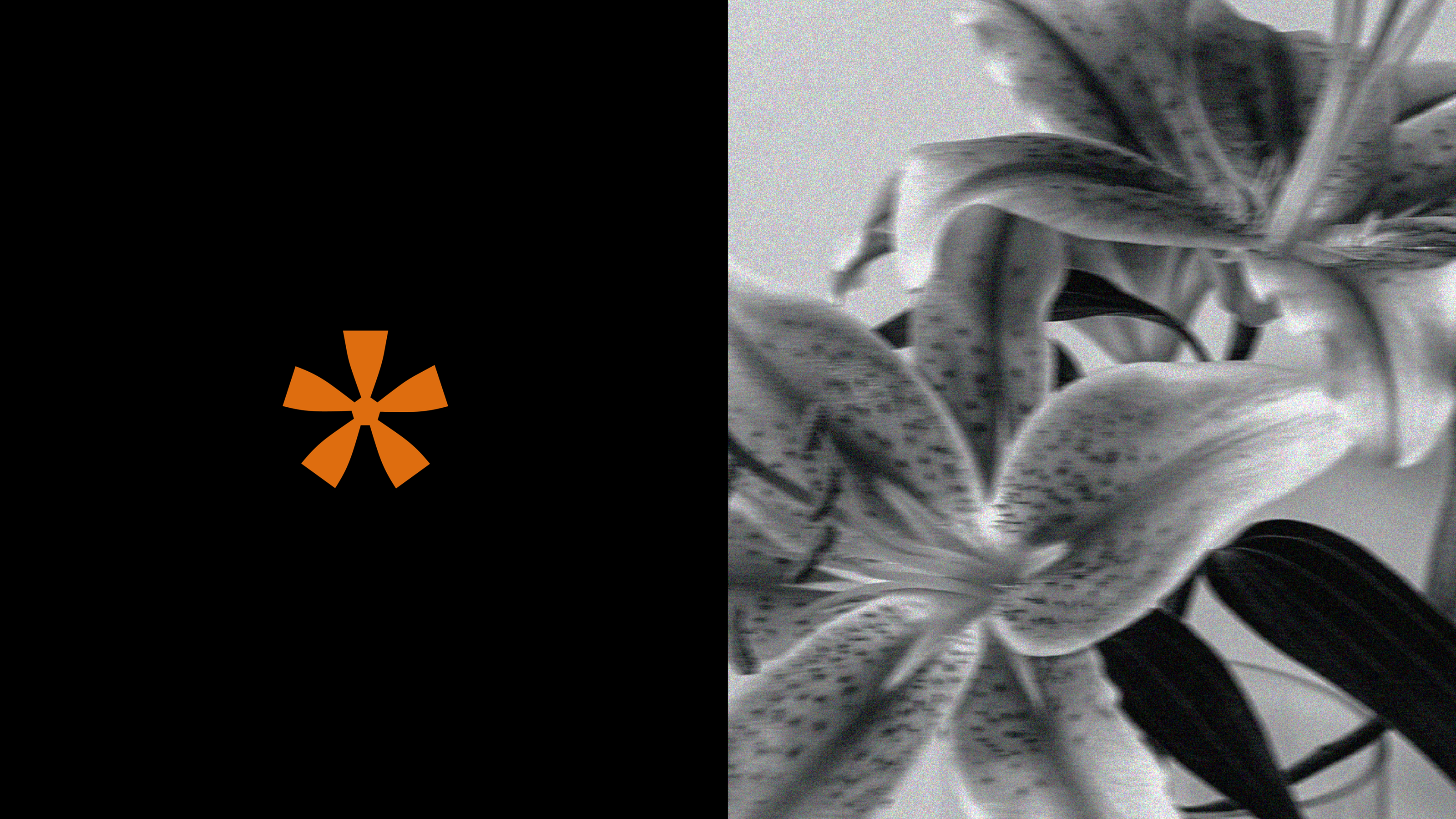 Flower studio / brand identity — Изображение №15 — Брендинг на Dprofile