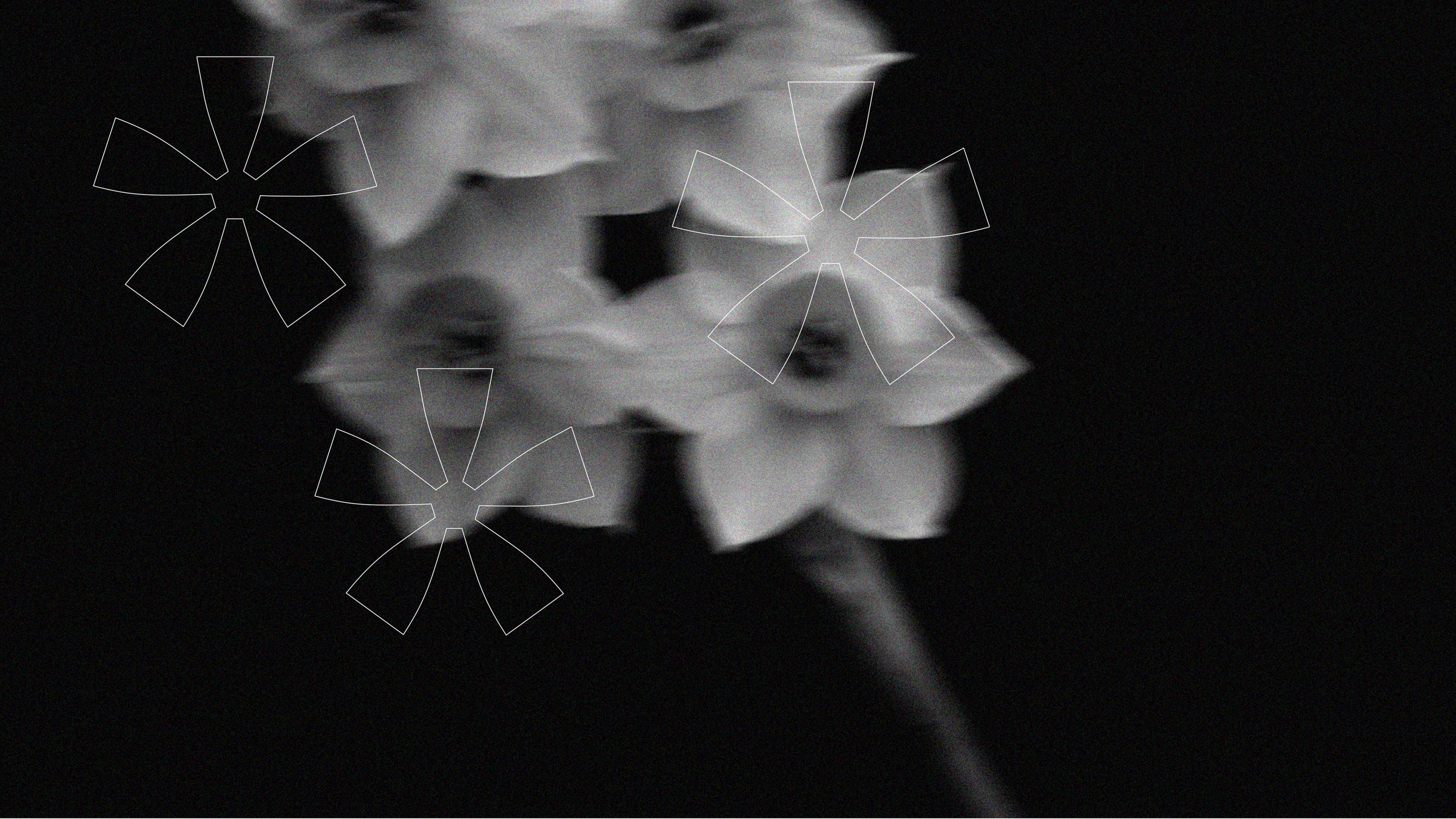 Flower studio / brand identity — Изображение №13 — Брендинг на Dprofile